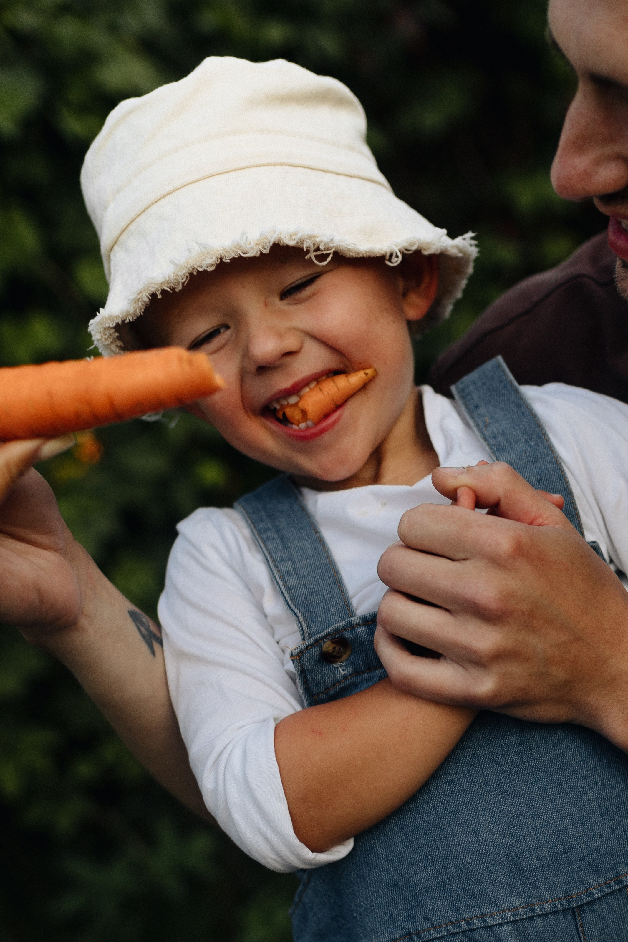 Дачники. Главная