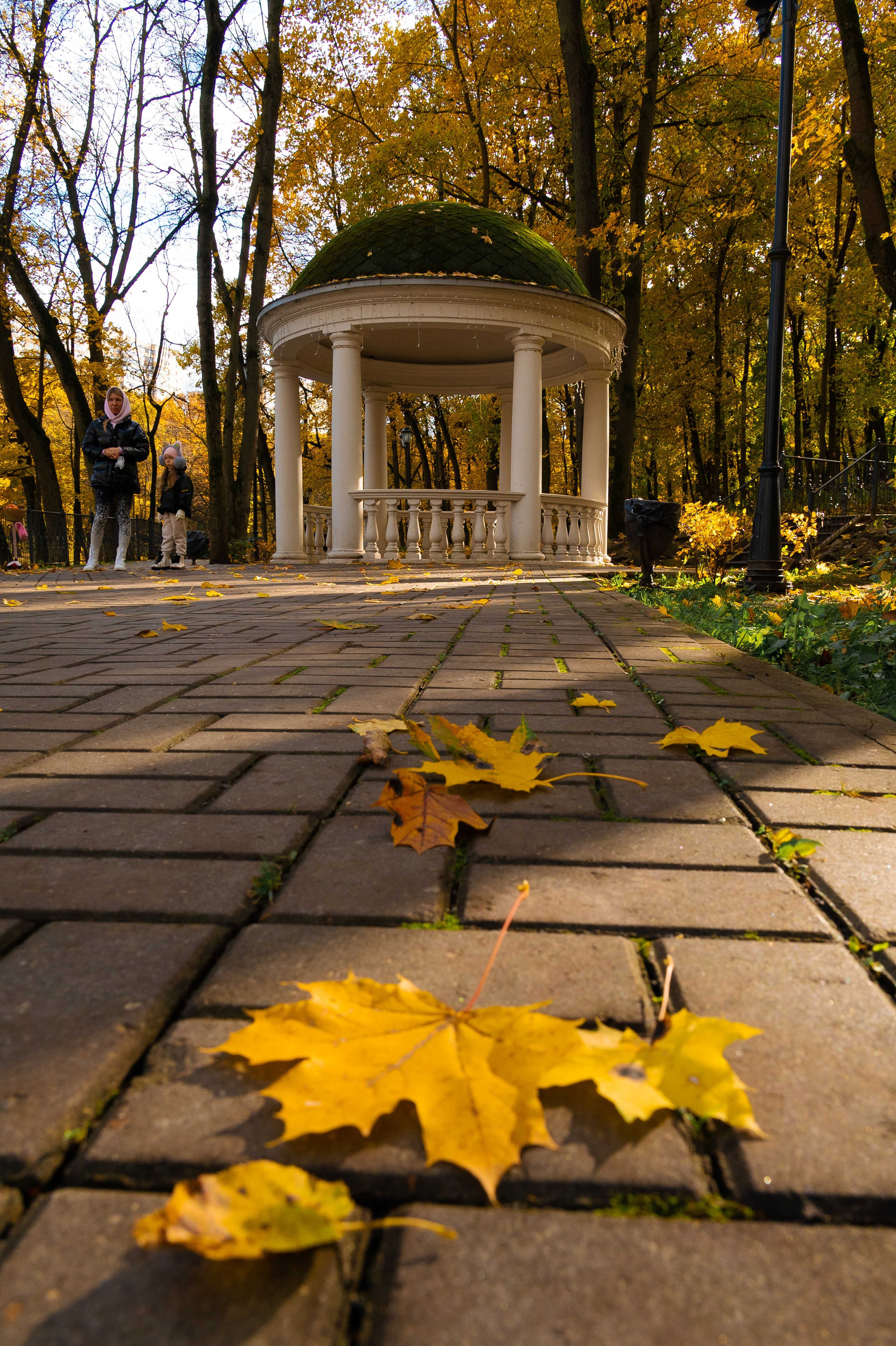 Платоновский парк. Фотограф и видеооператор в Туле | Даниил Рыбак