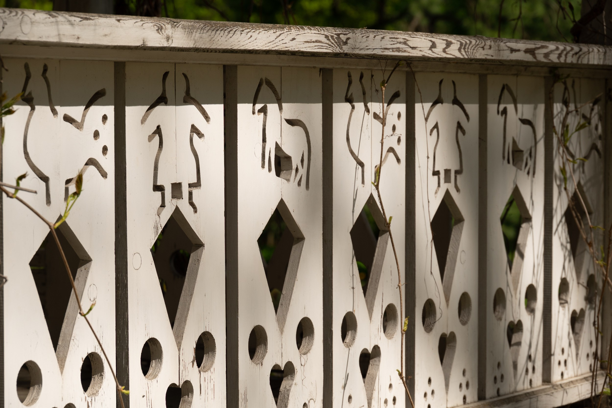 Ясная поляна. Фотограф и видеооператор в Туле | Даниил Рыбак