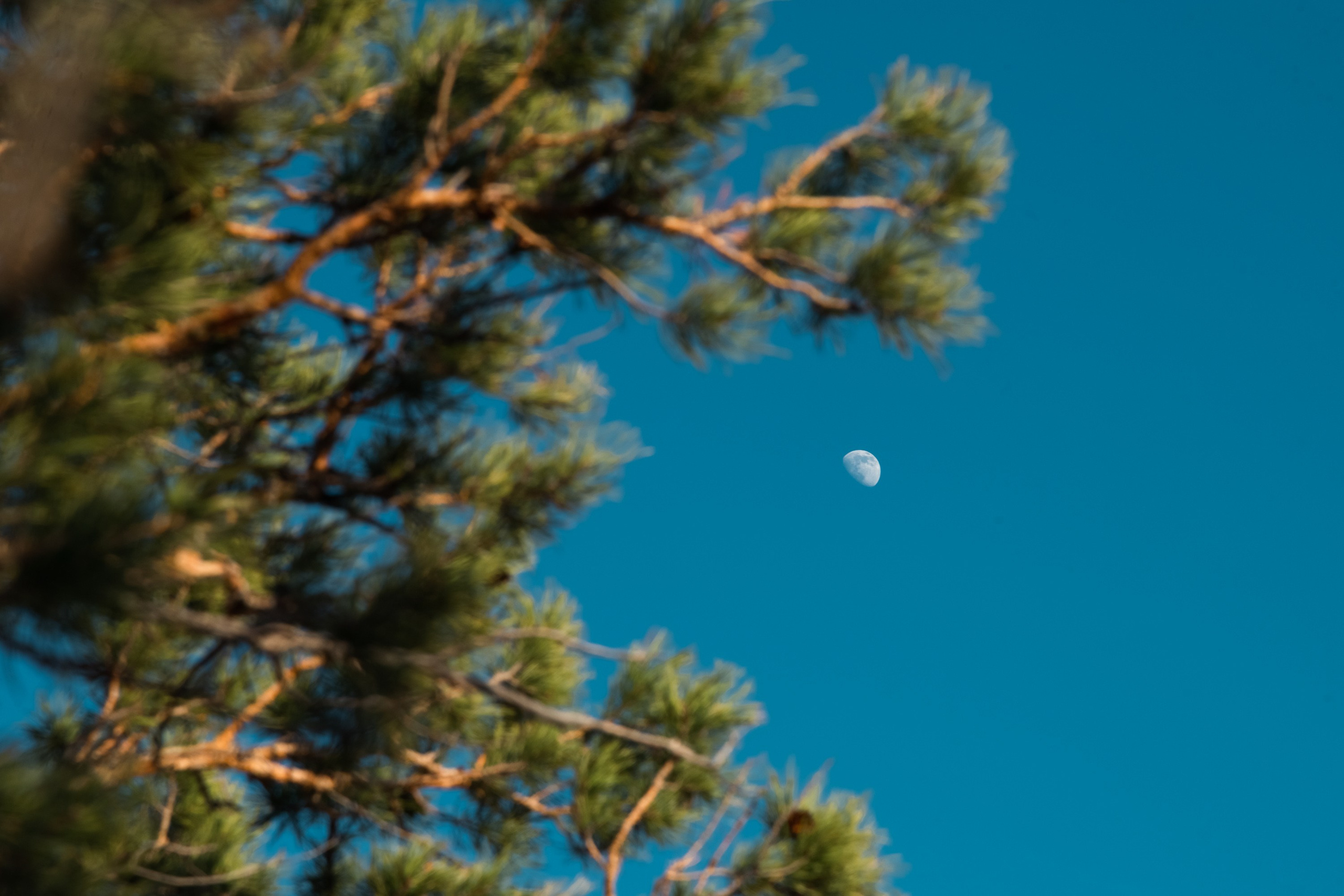 Иволгинский дацан, стоянка Чингисхана, Спящий лев, Меркитская крепость. Фотограф и видеооператор в Туле | Даниил Рыбак