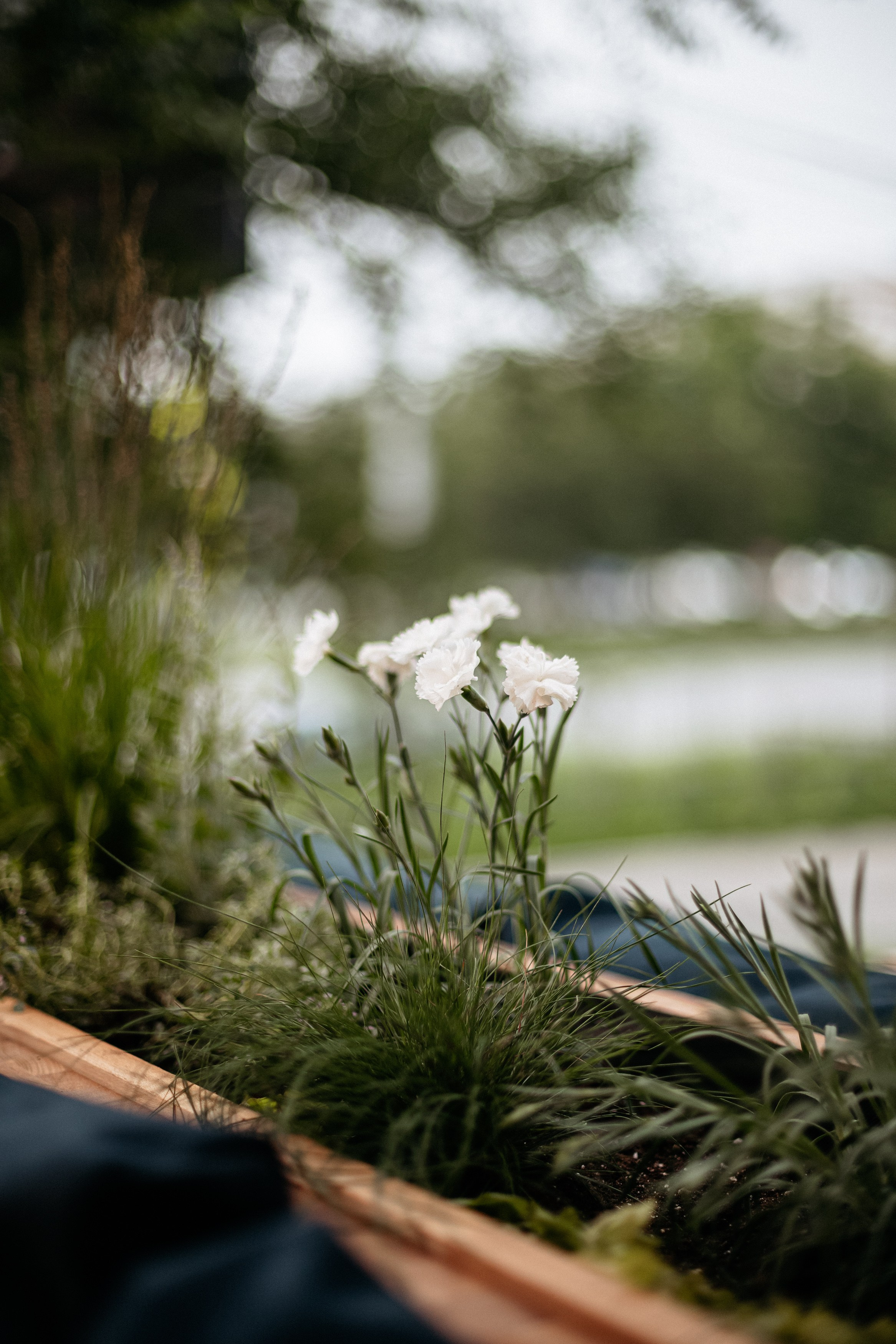 РЕСНОТА — ОТКРЫТИЕ ТЕРРАСЫ. СВОИ. ФОТООТЧЕТЫ-СОБЫТИЯ-МЕСТА