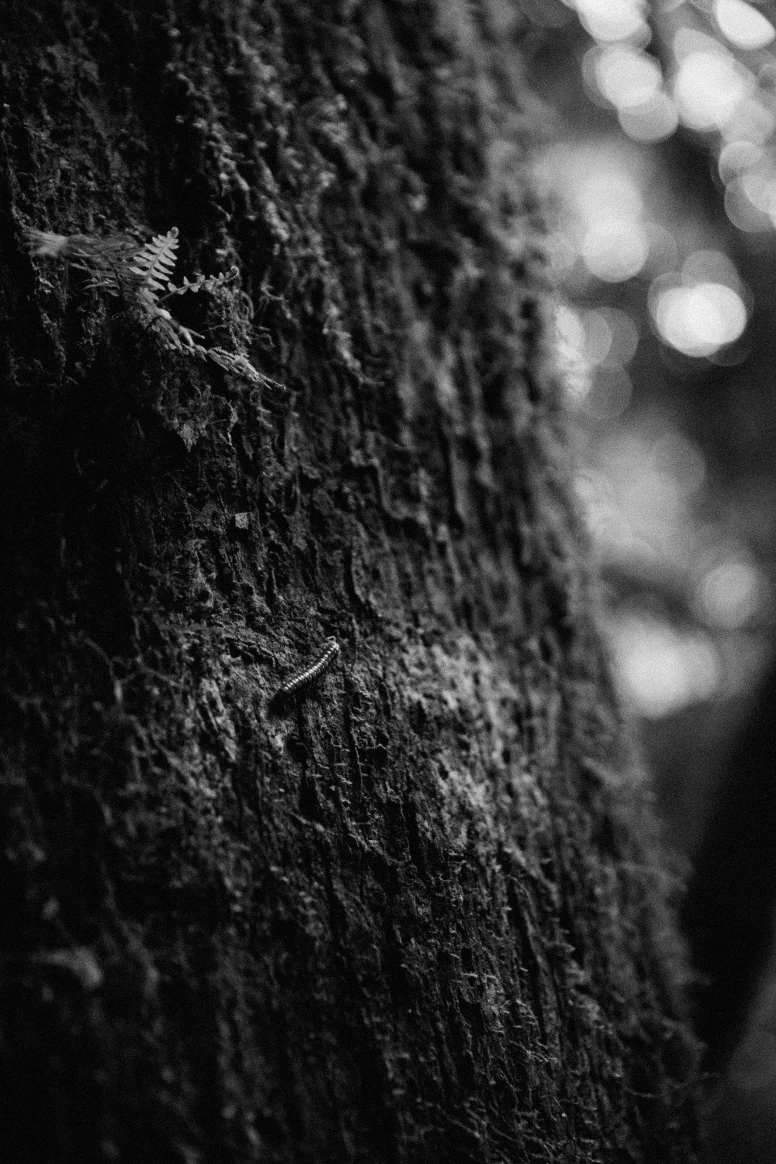 Vicky. Портретный фотограф / Панама / Анастасия Елизарова