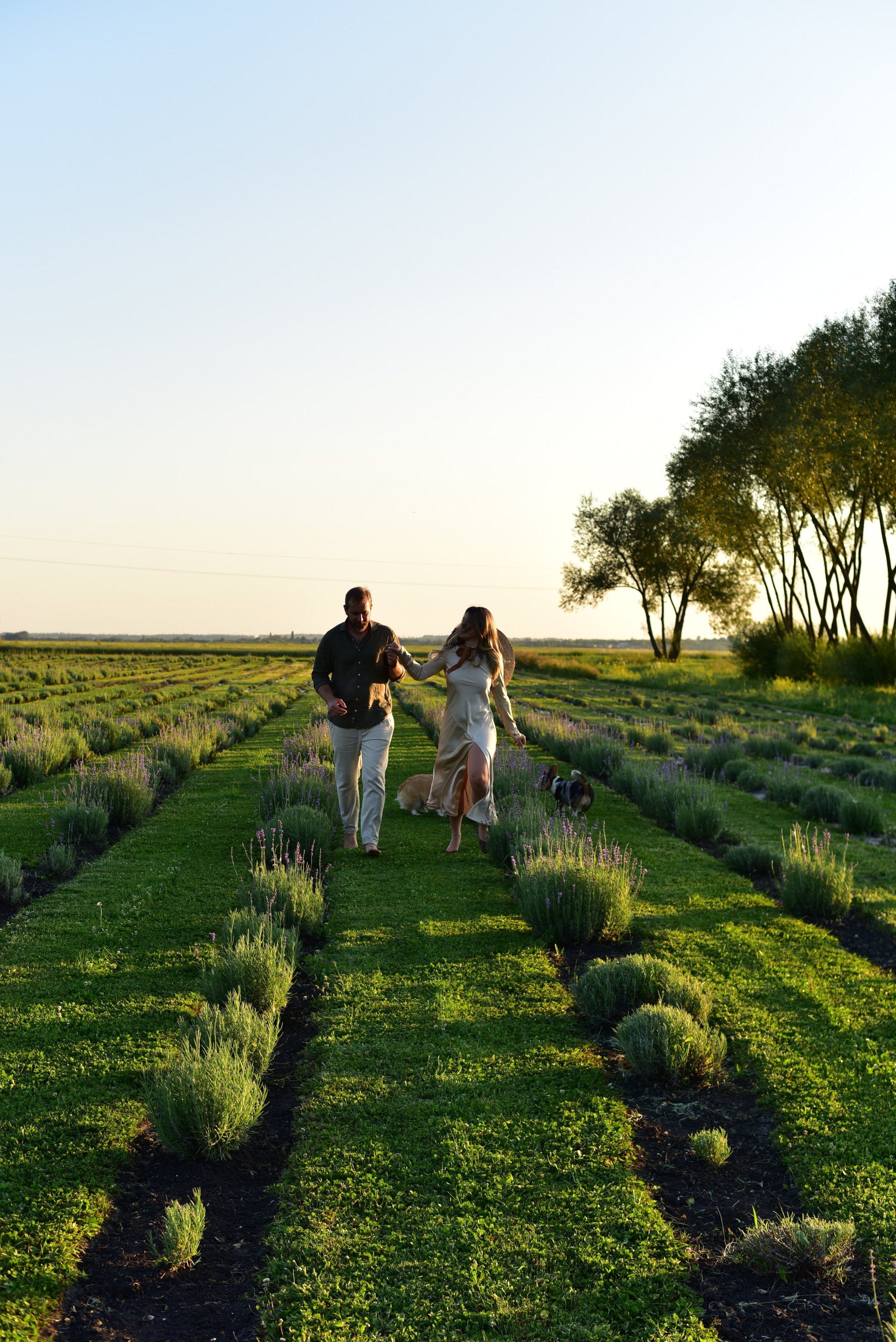 Наталья и Владимир. Свадебный и семейный фотограф в Воронеже Ксения Воротникова