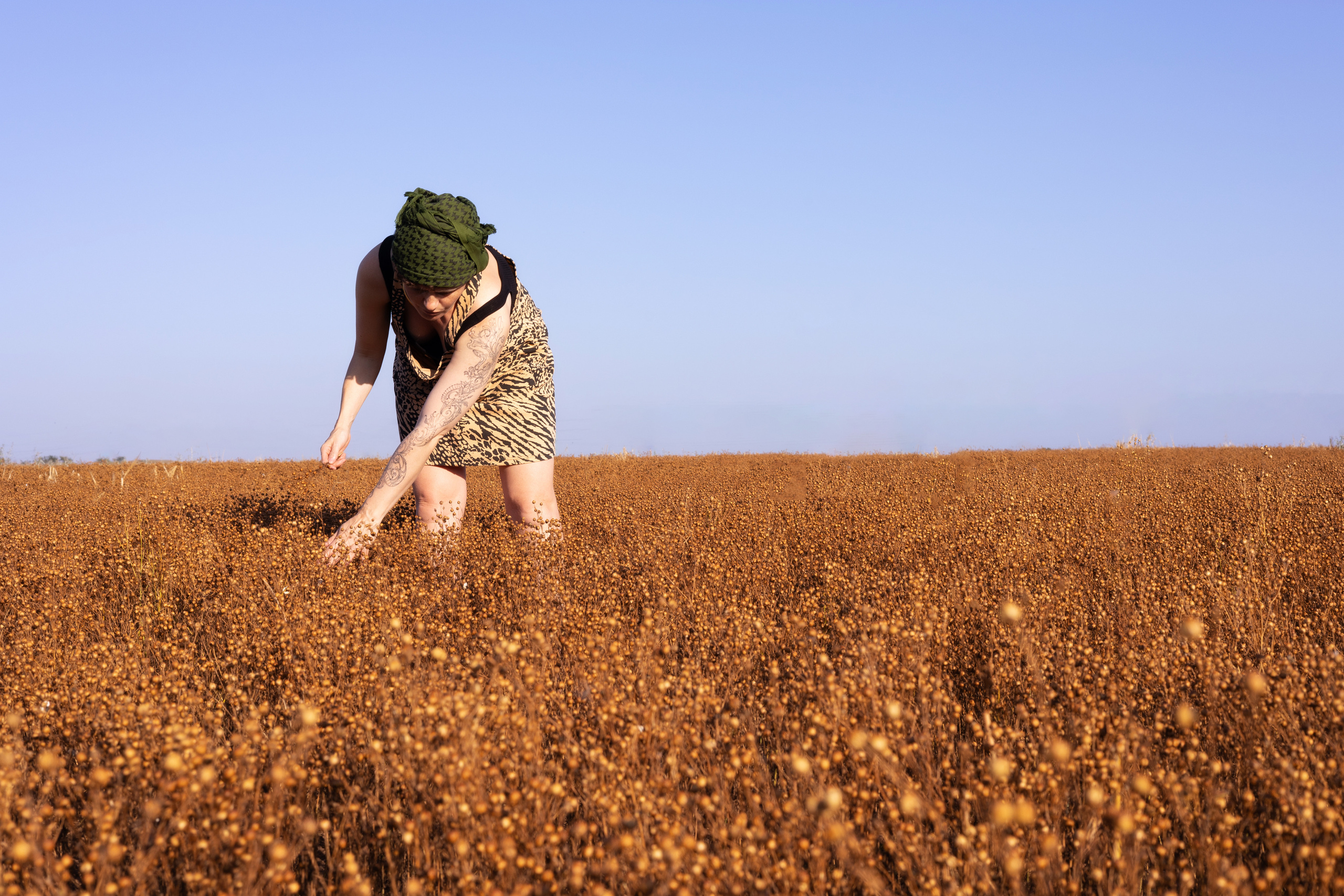 Белладонна на закате. Сказочный фотограф для Вас и Вашей семьи