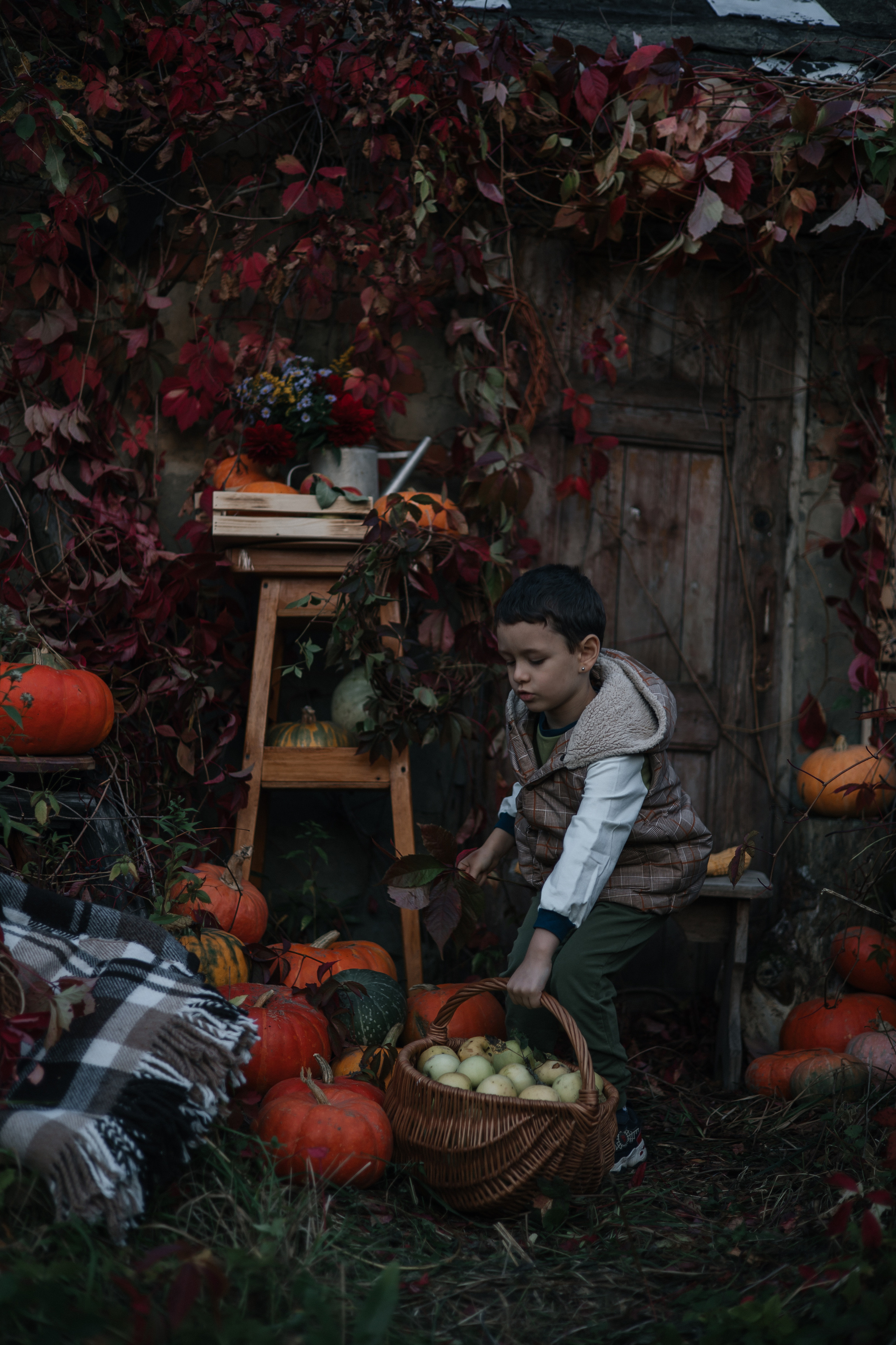 Тыковки и детки. Сказочный фотограф для Вас и Вашей семьи