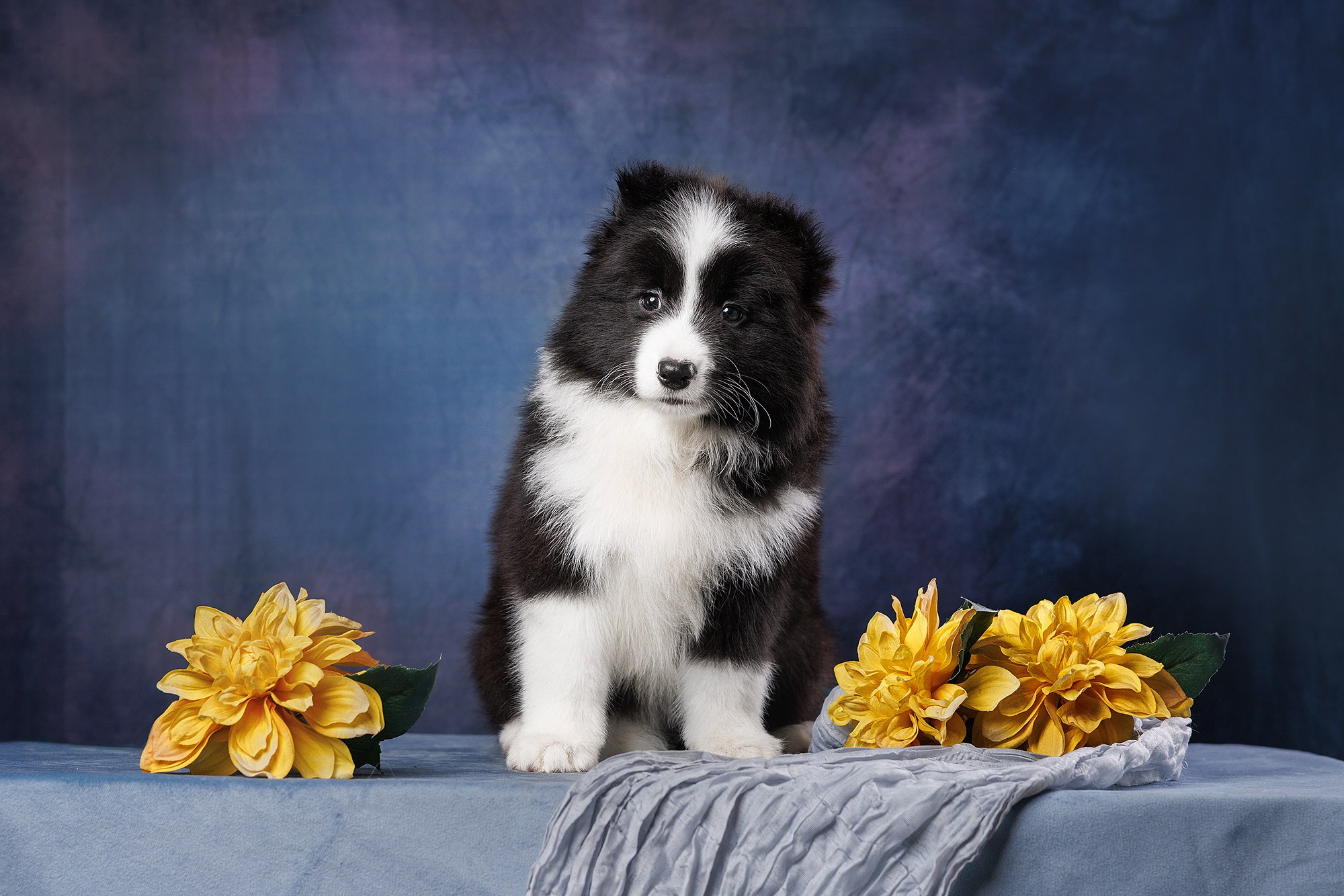 На водной основе. О нас