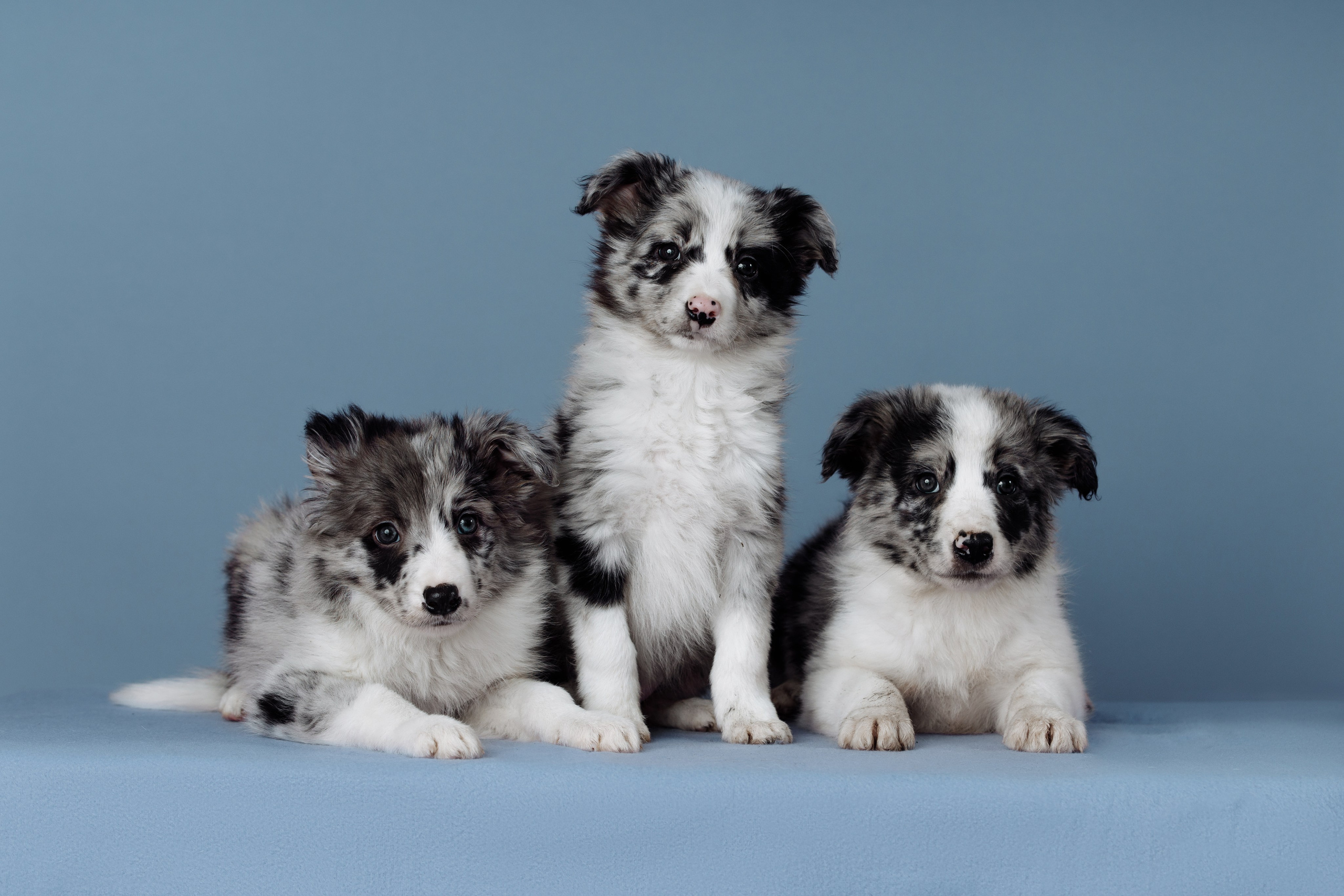 Март. Весна. 22. О нас