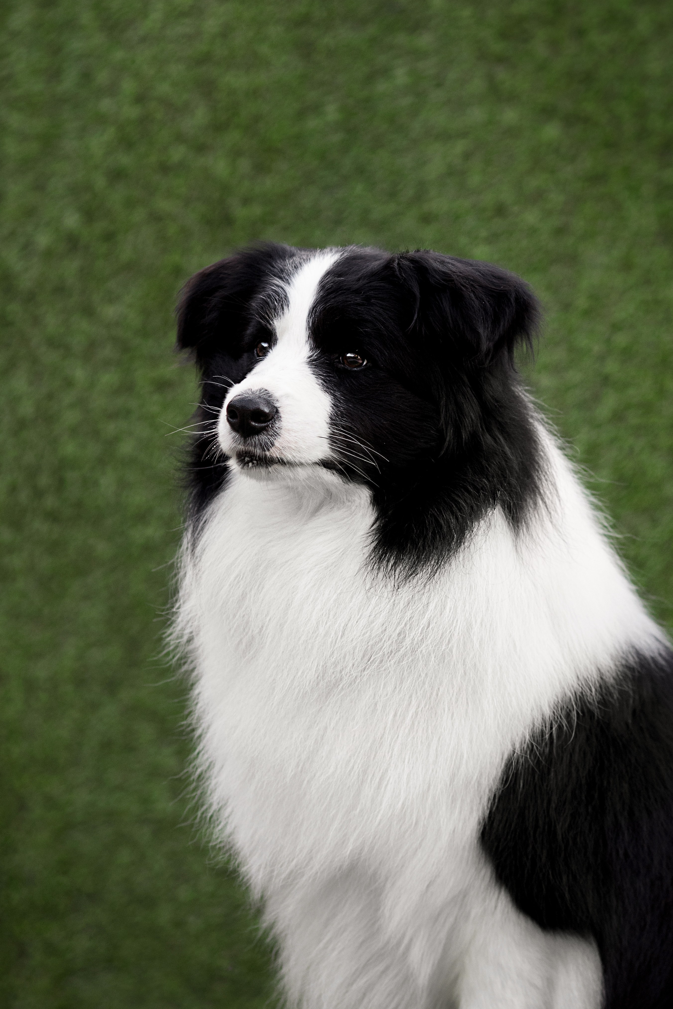 Роскошь в ростошах. О нас