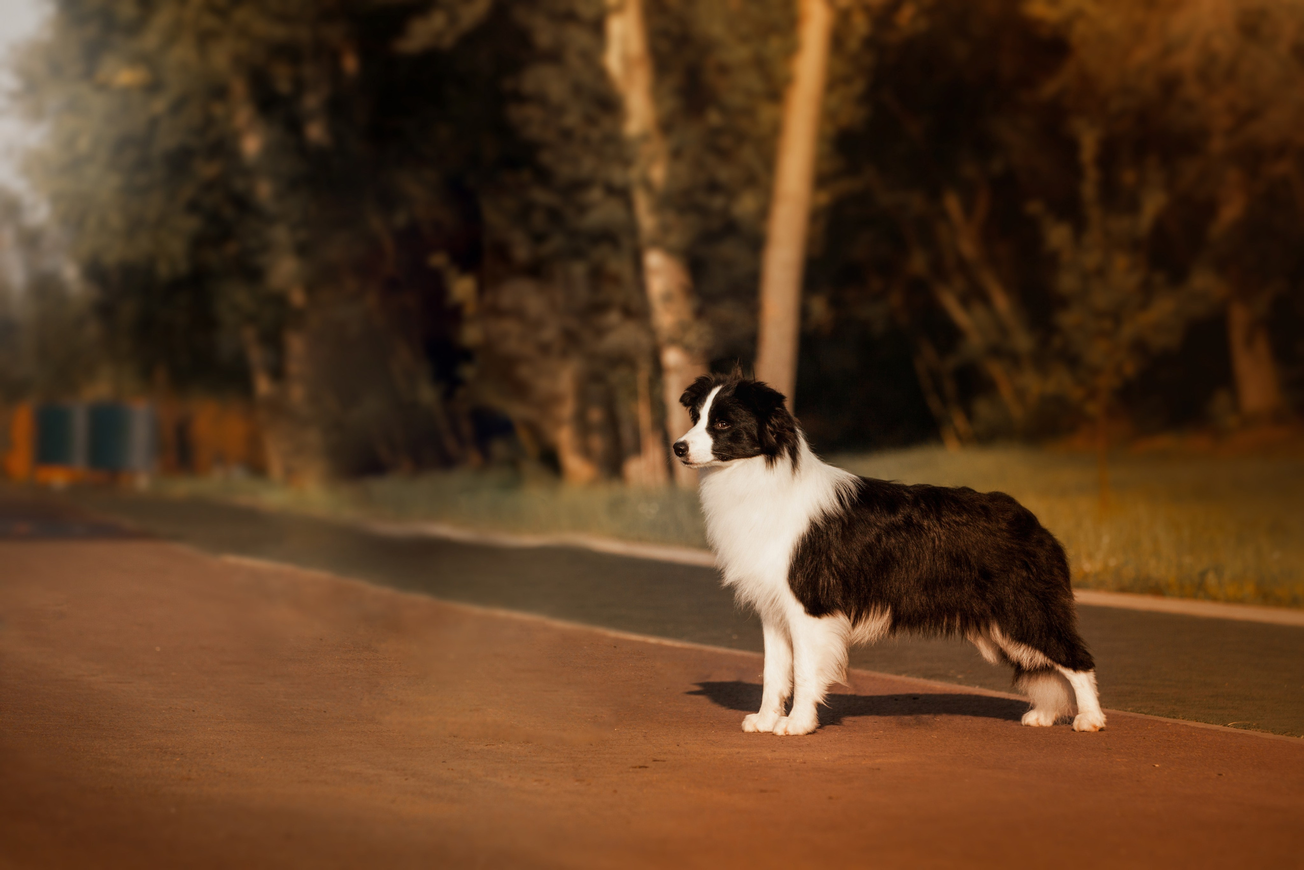 Сочный рассвет, на который решились. О нас