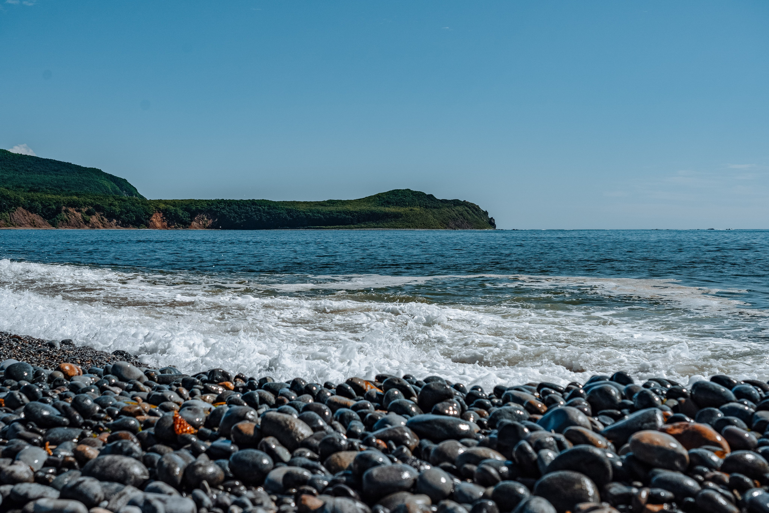 Сихотэ-Алинский заповедник, Приморский край. Репортажный фотограф в Крыму Ксения Гасица