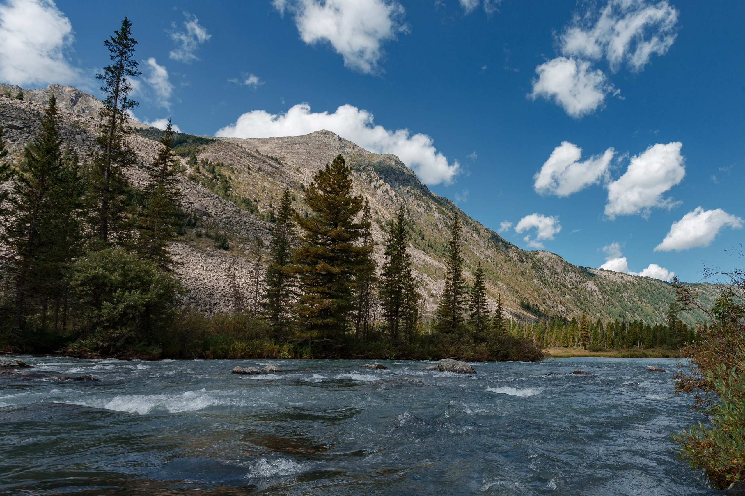Катунский заповедник, Республика Алтай. Репортажный фотограф в Крыму Ксения Гасица