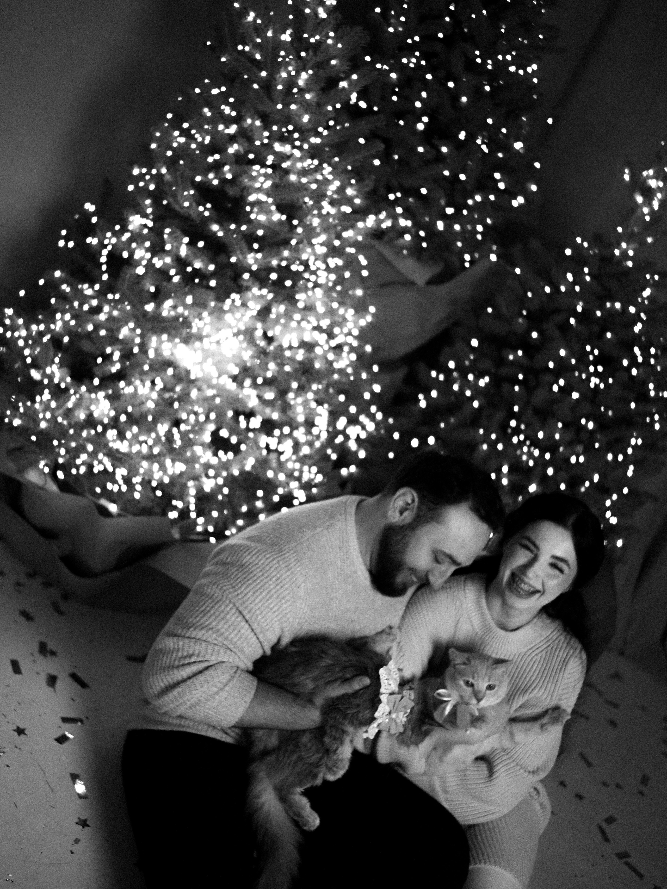 Mrrrr christmas. Фотограф Рязань. Семейный Свадебный фотограф