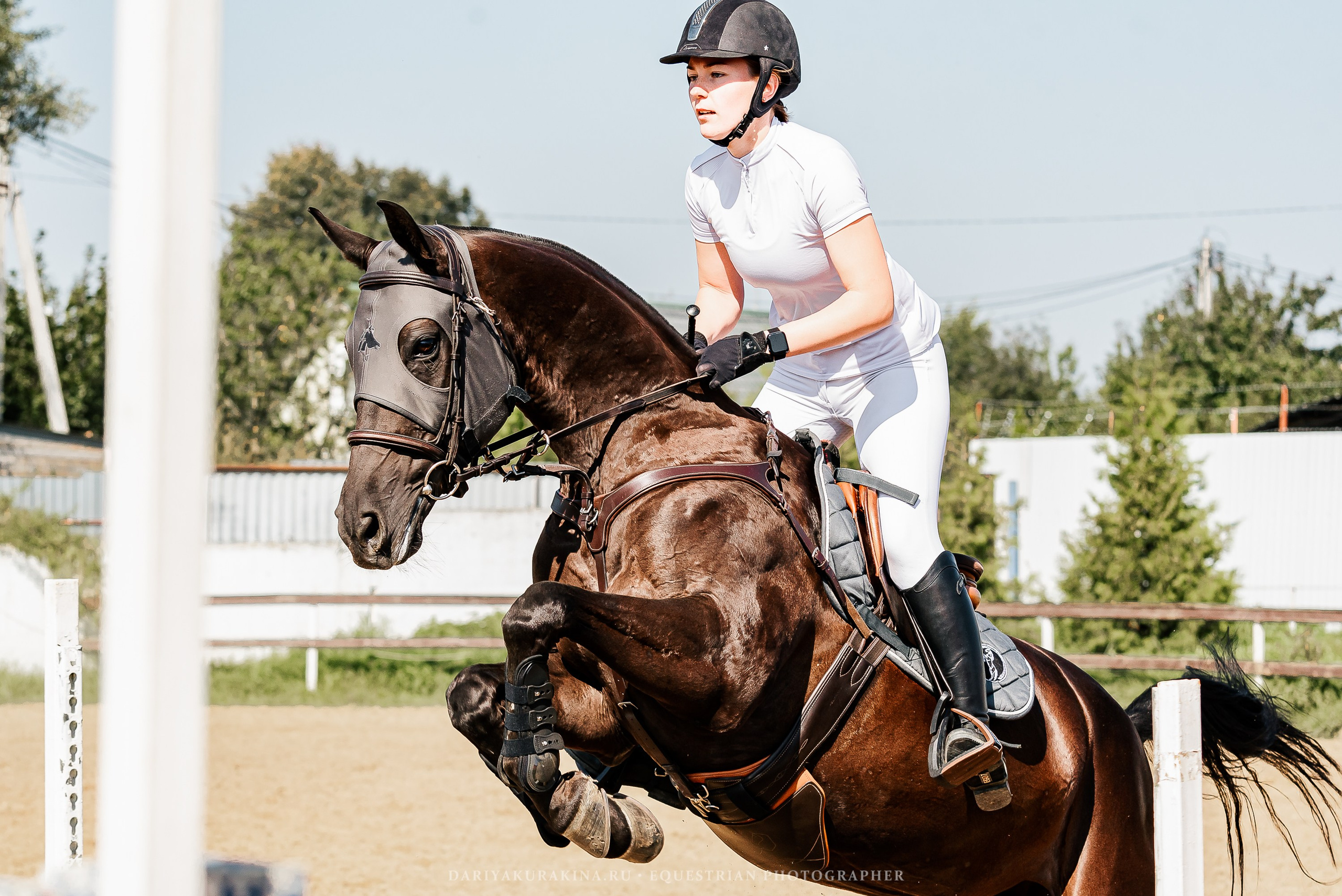 КОНКУР в КСК «Black Horse», 3 этап. Конный фотограф Куракина Дарья • Фотосессии с лошадьми