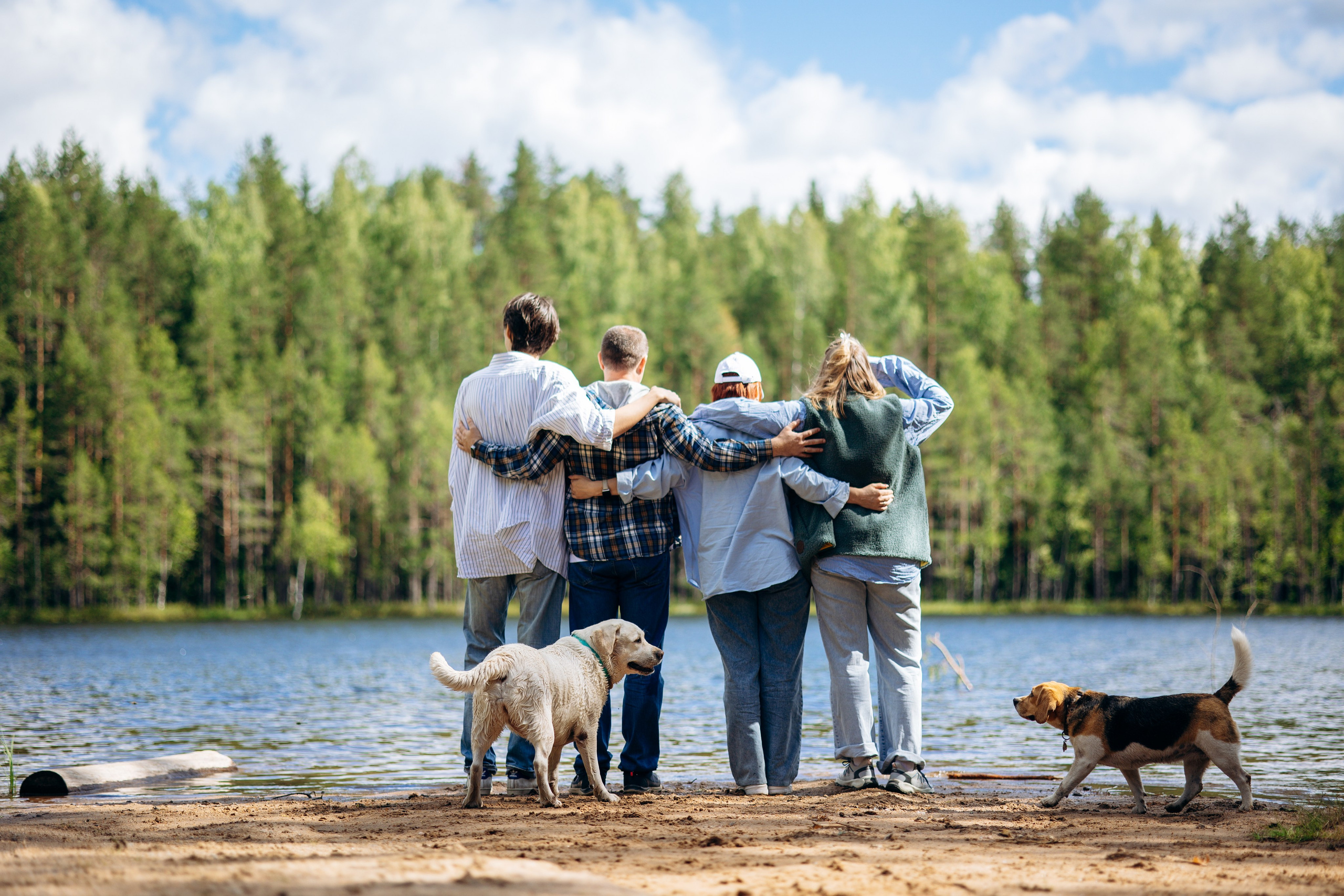 Котофеи и их семья. Фотограф — Анималист | Санкт-Петербург