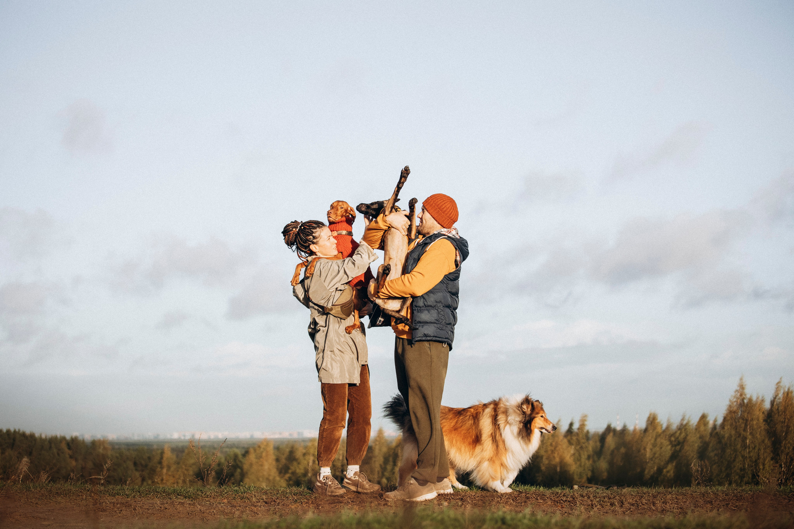 Трисс, Эста, Яся и их семья. Фотограф — Анималист | Санкт-Петербург