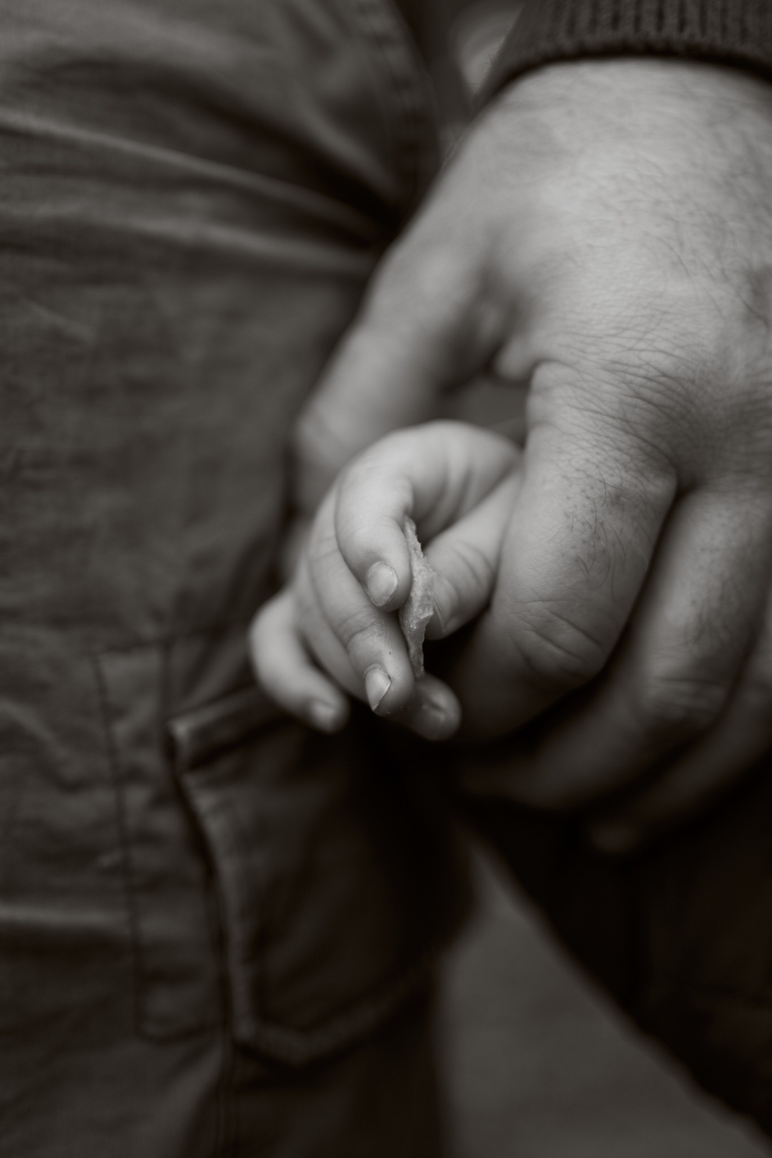 Печенье в песке. Фотограф анималист Москва Дарья