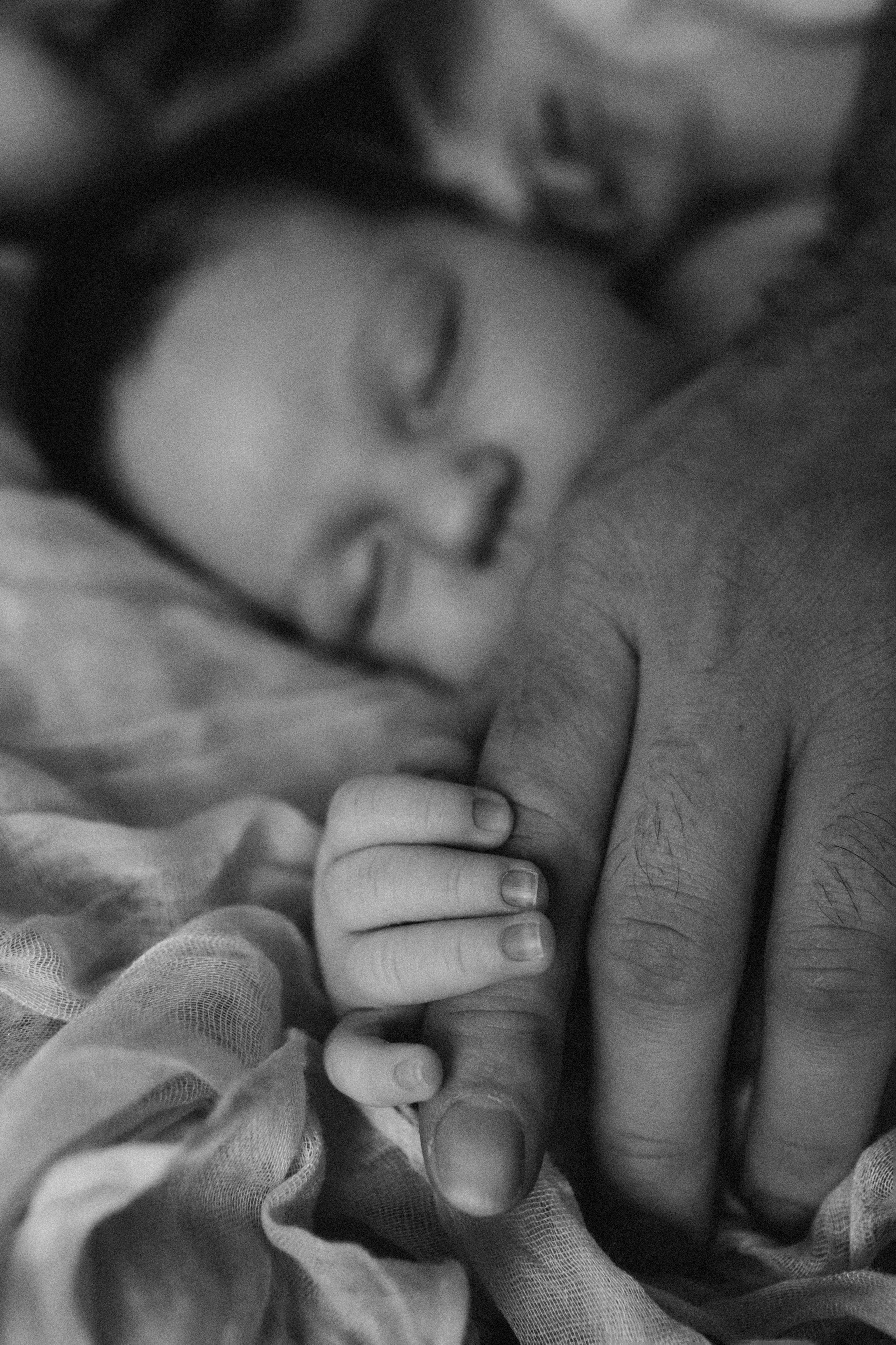 Матвей, Даша, Дима. Семейный фотограф Томск