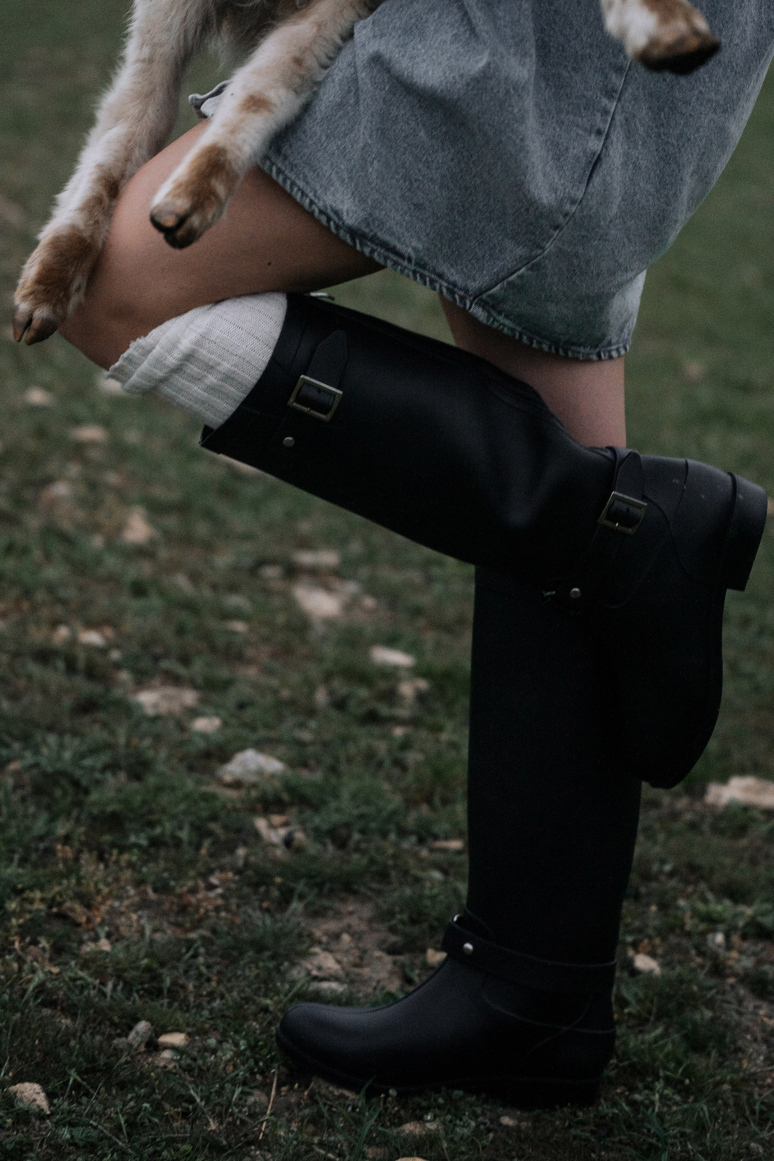 Фермерская романтика: подруги в модных луках среди баранов  