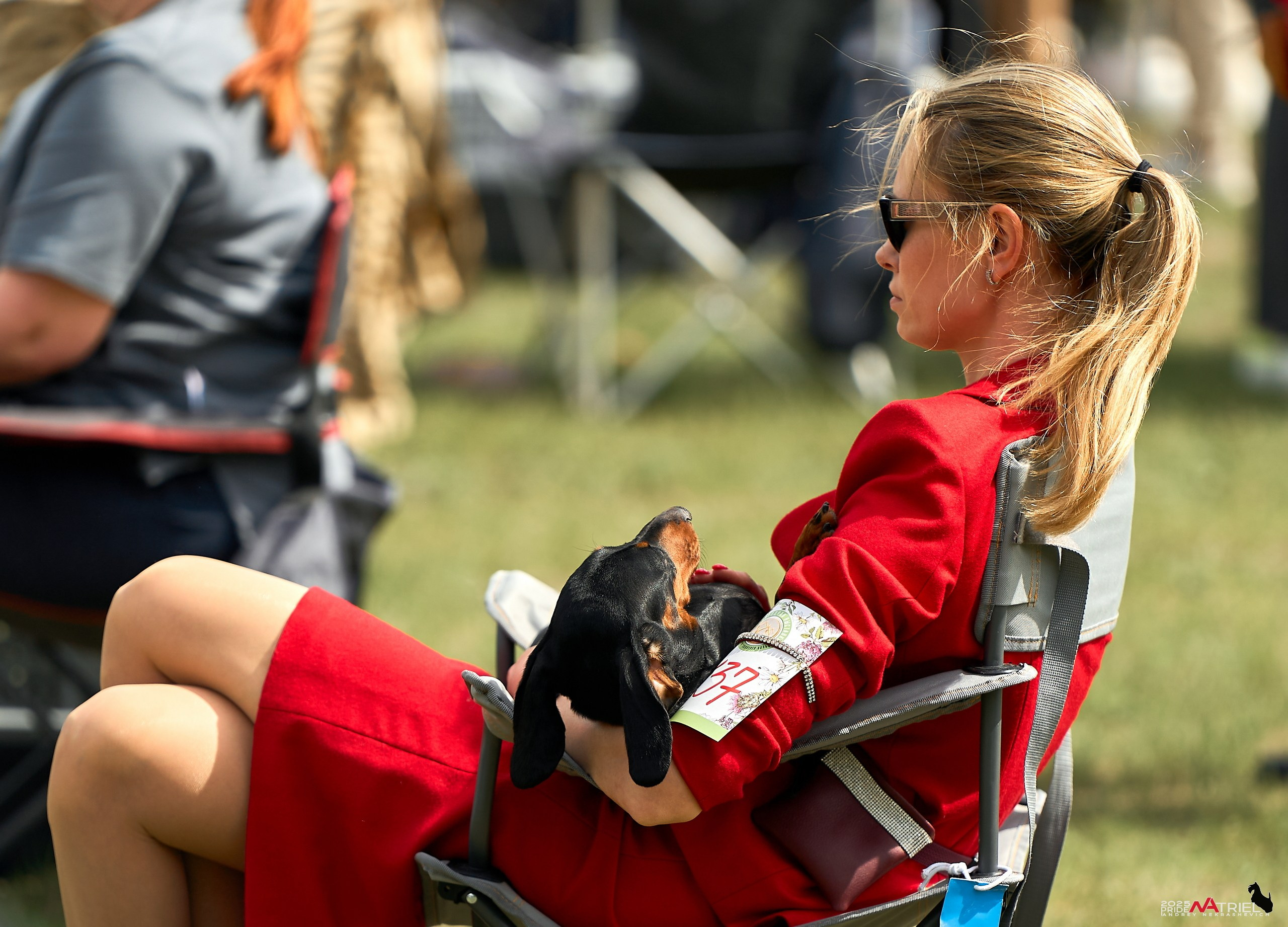 Выставка собак Суздаль-Владимир