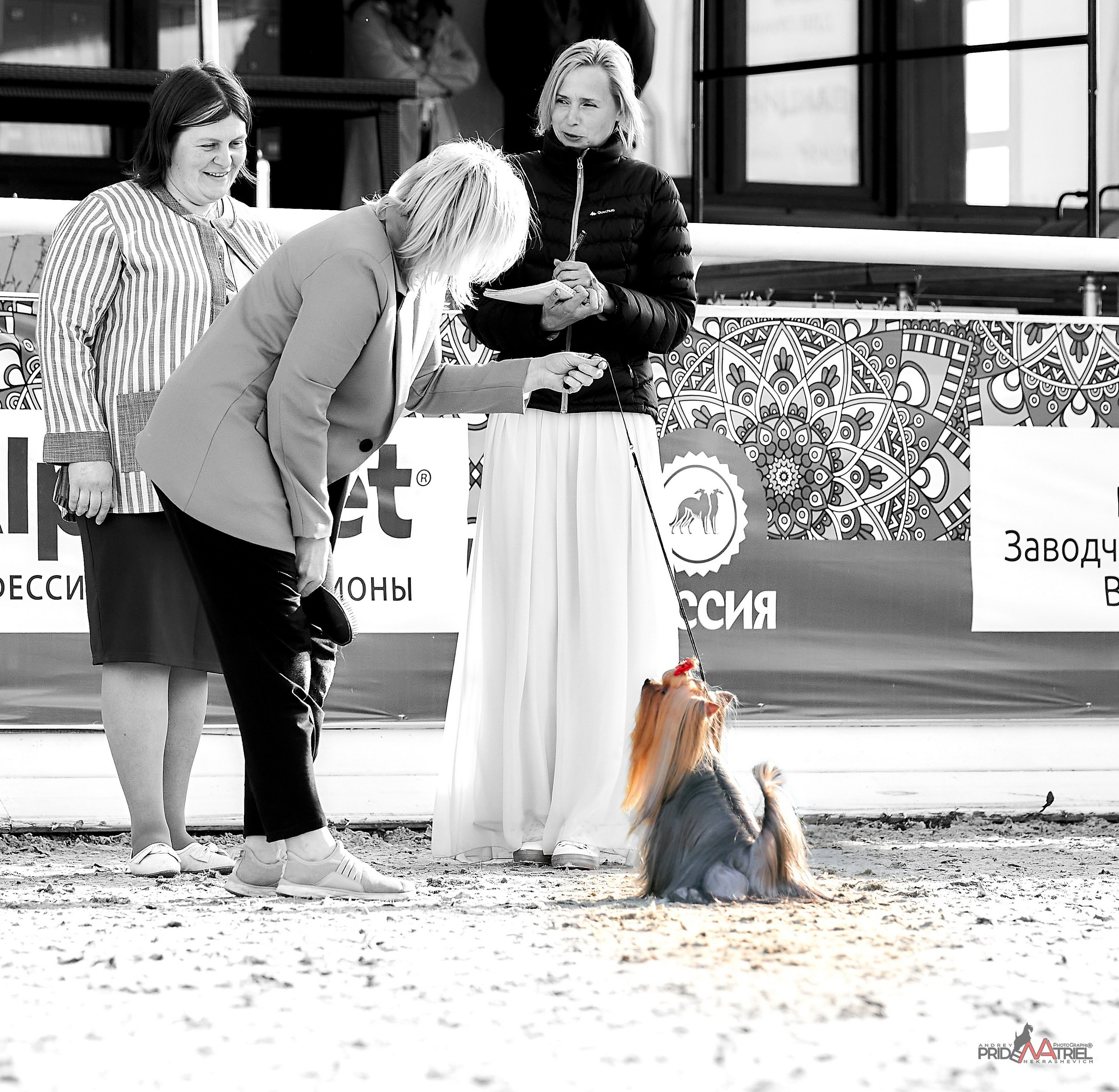 Работа в рингах — галерея NATRIEL