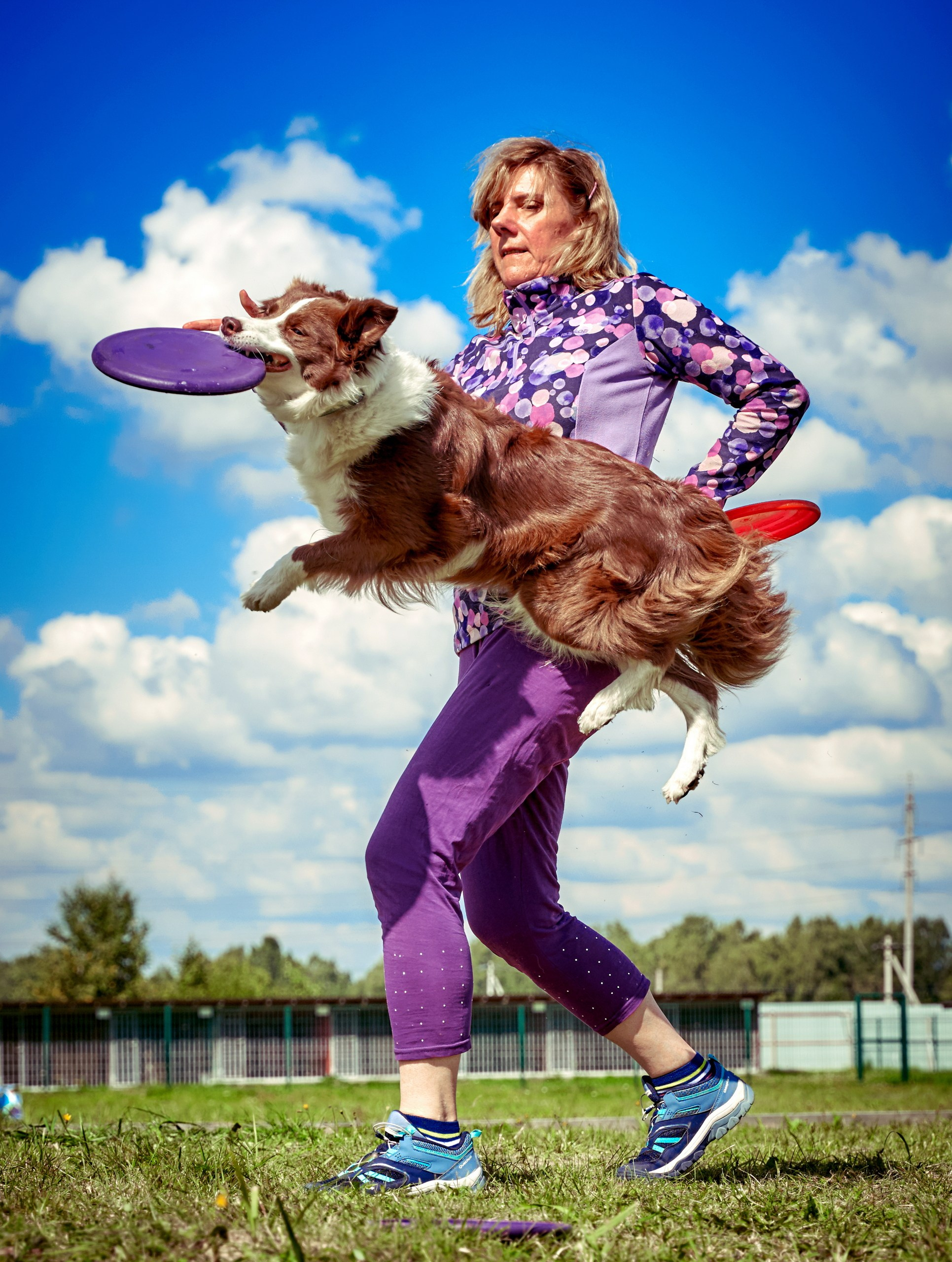 Мероприятия с собаками — галерея NATRIEL