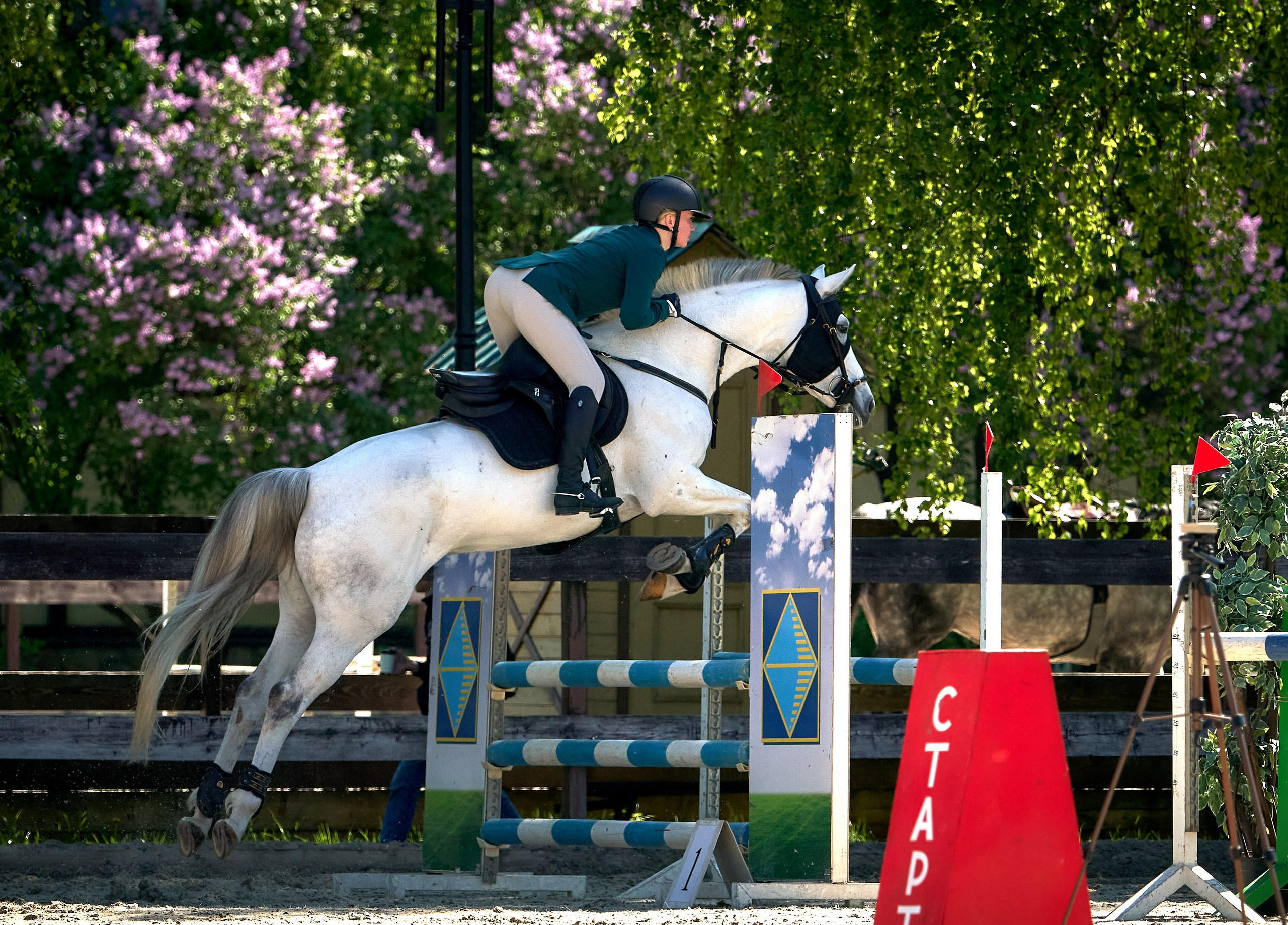 Соревнования на лошадях — галерея NATRIEL