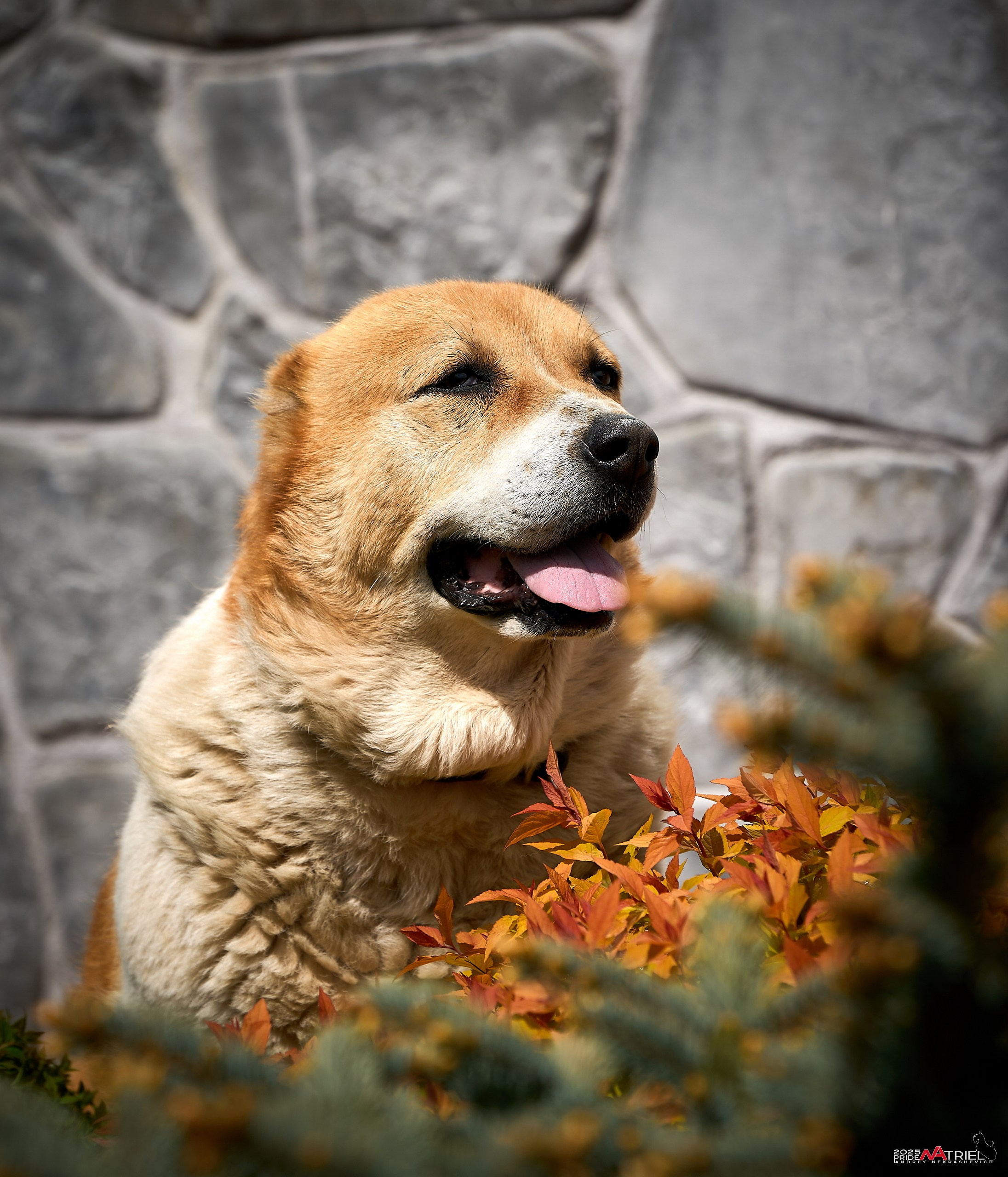 Съемка в питомнике