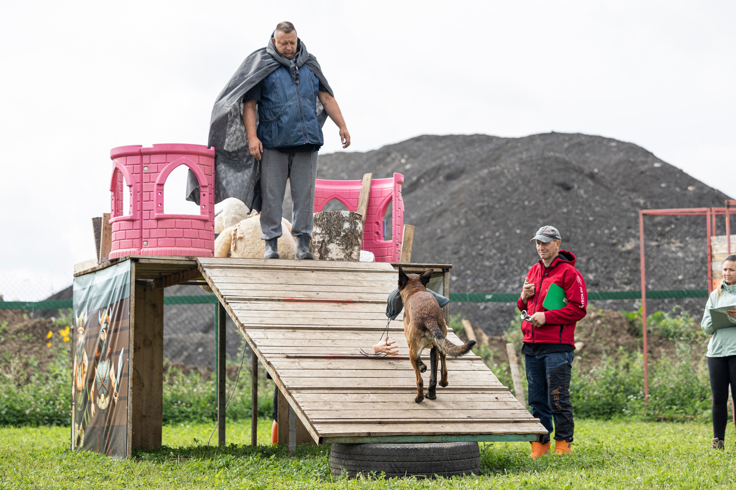 Соревнования по Мондьорингу г. Вологда 10-11.08.2024. Фотограф-анималист Анна Маринич