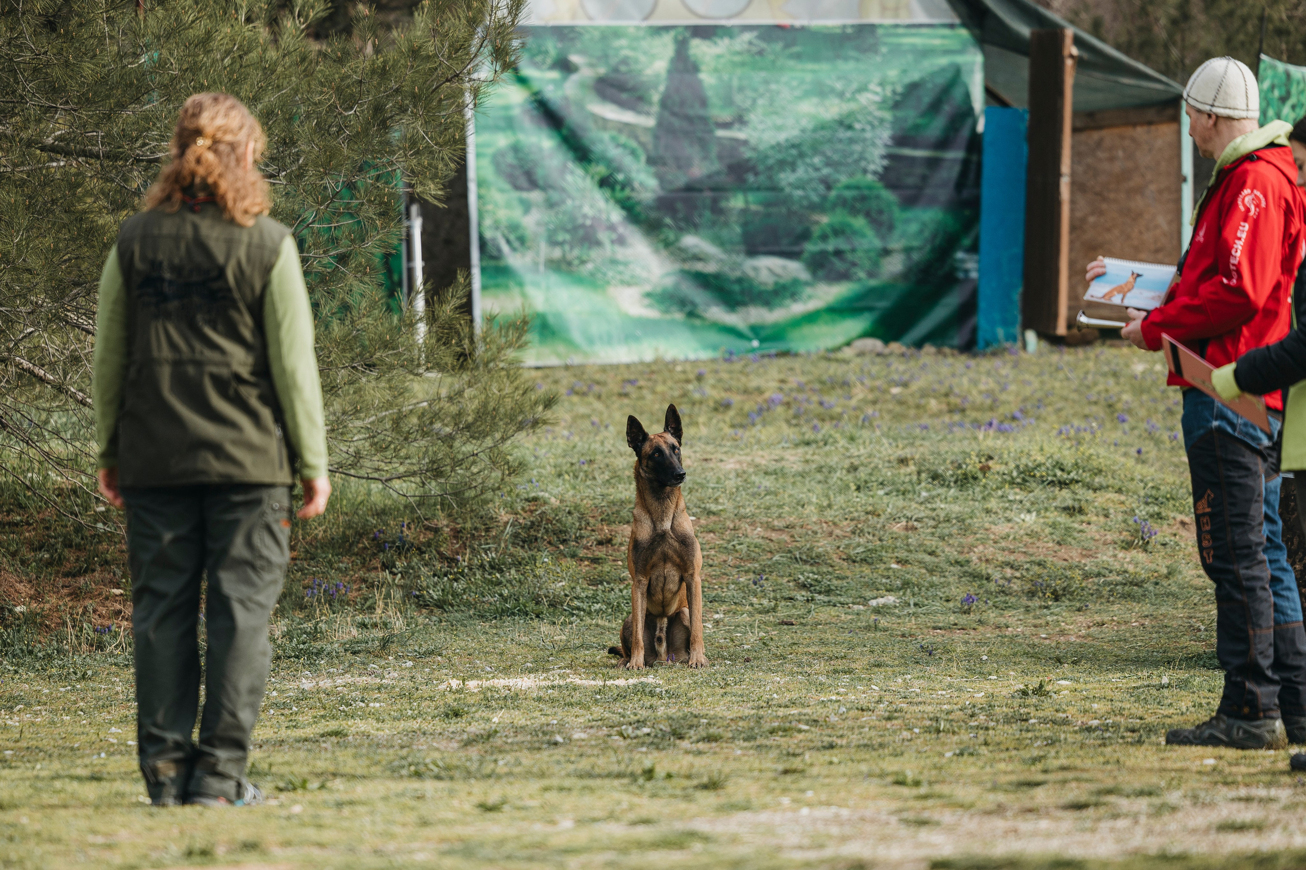 Геленджик Мондьоринг. Фотограф-анималист Анна Маринич
