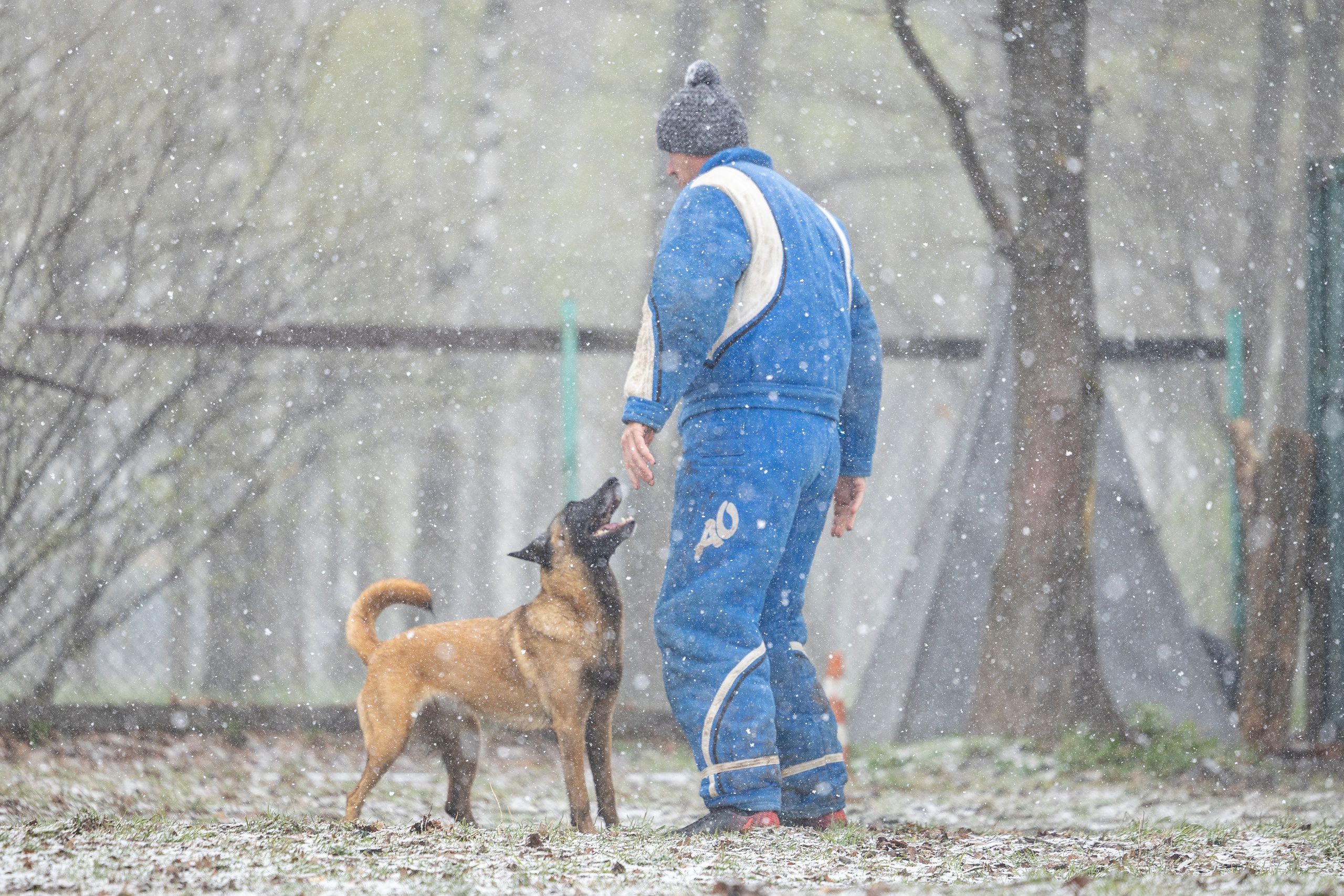 Квалификационные состязания по мондьорингу г. Вологда 11.05.24. Фотограф-анималист Анна Маринич