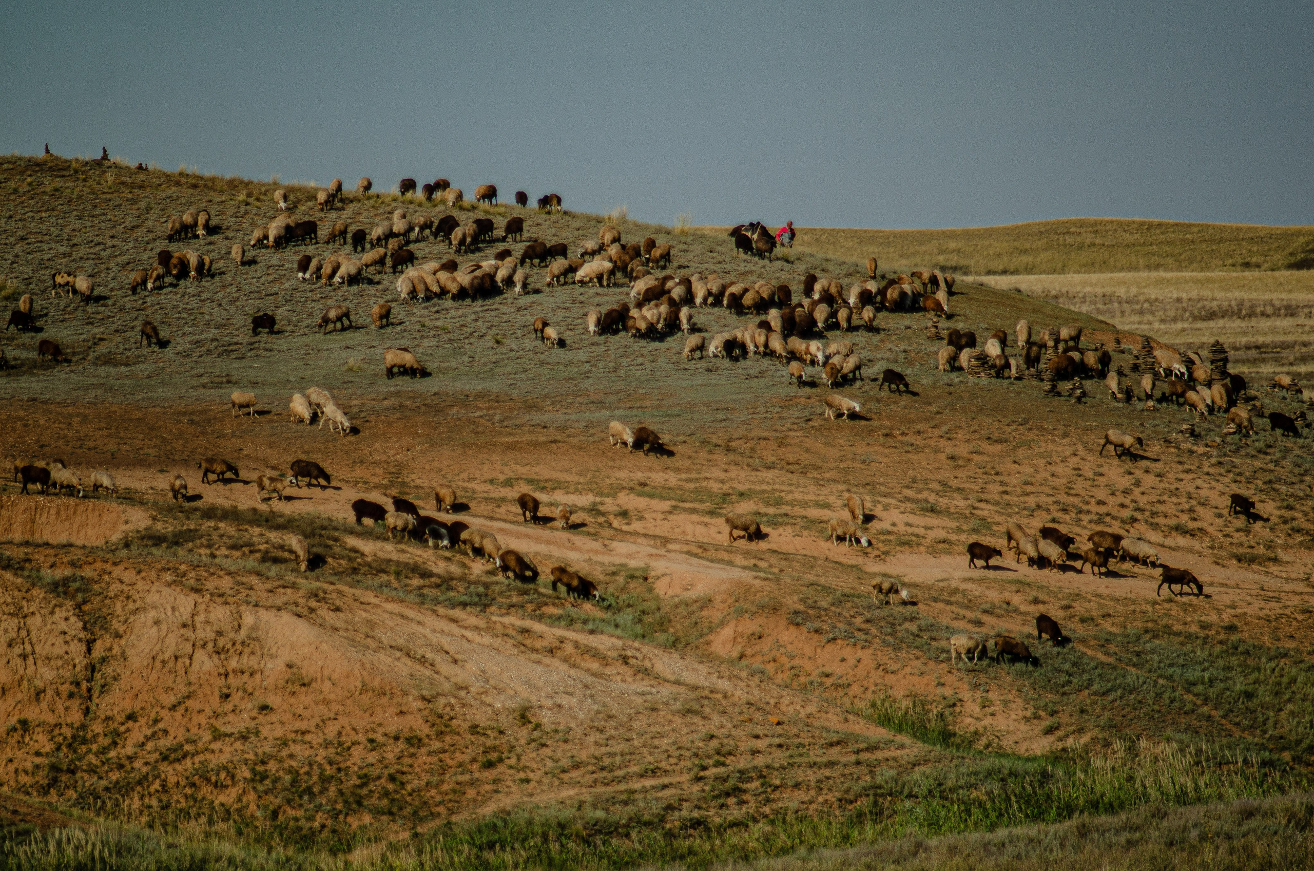 Пейзажи. Sreda fotoArt
