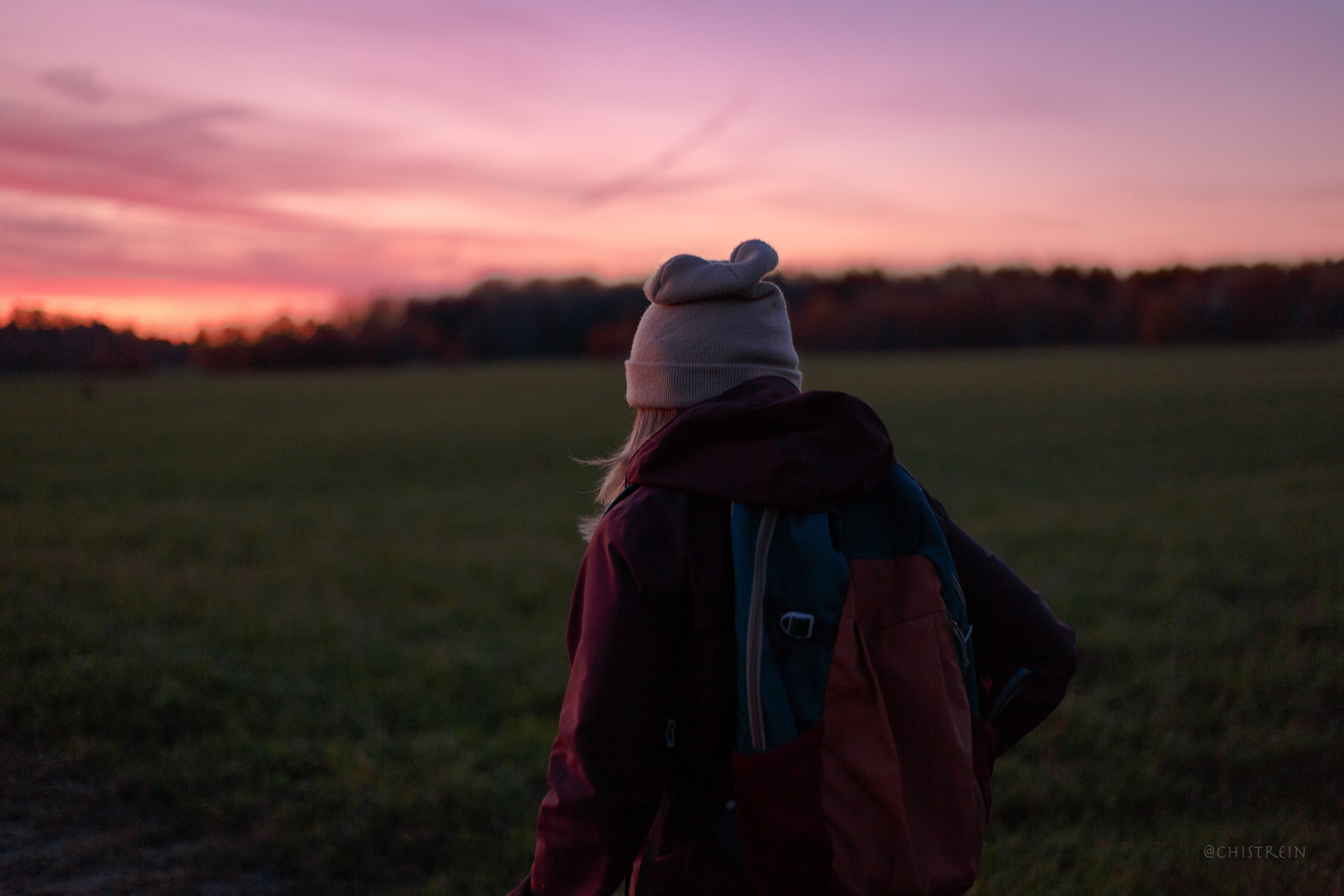 Октябрьский закат в полях. Алина и Лео. Фотограф-анималист Наталия Чистюхина в г. Сосновый Бор и ЛО