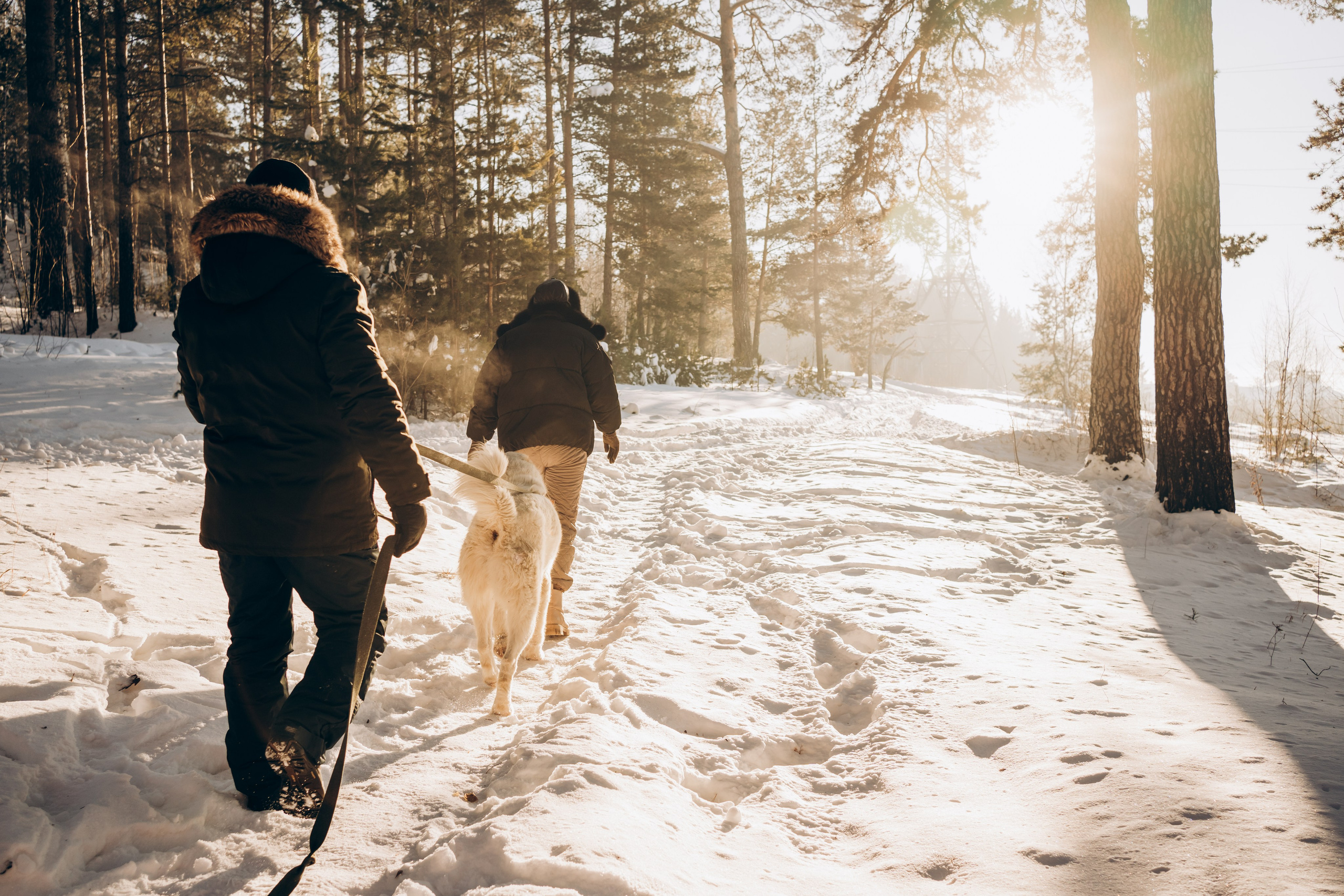 Г. Миасс 2023-2024. Фотограф-анималист Анастасия Большакова