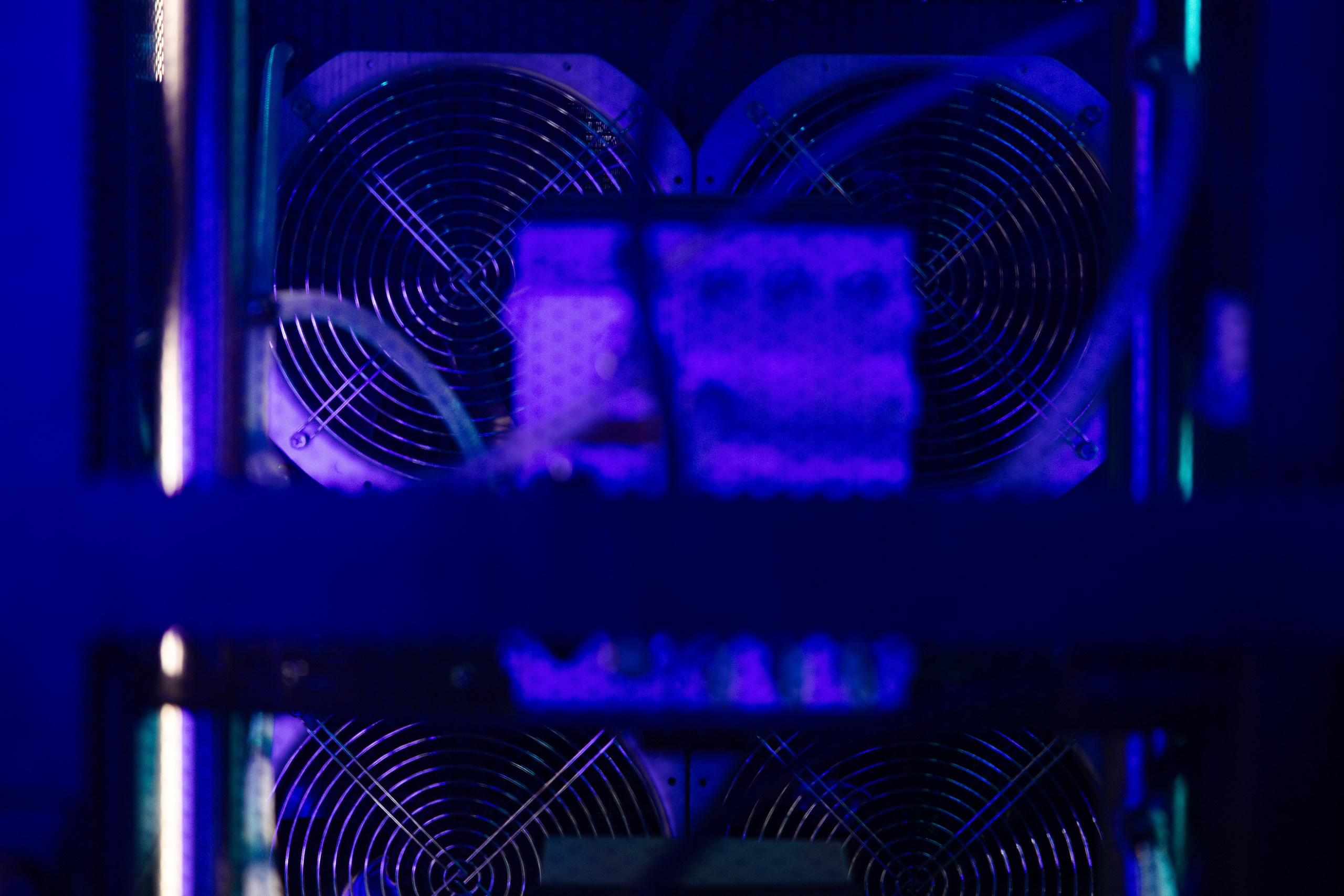 Crypto Summit (1). Свадебный репортажный фотограф в Москве