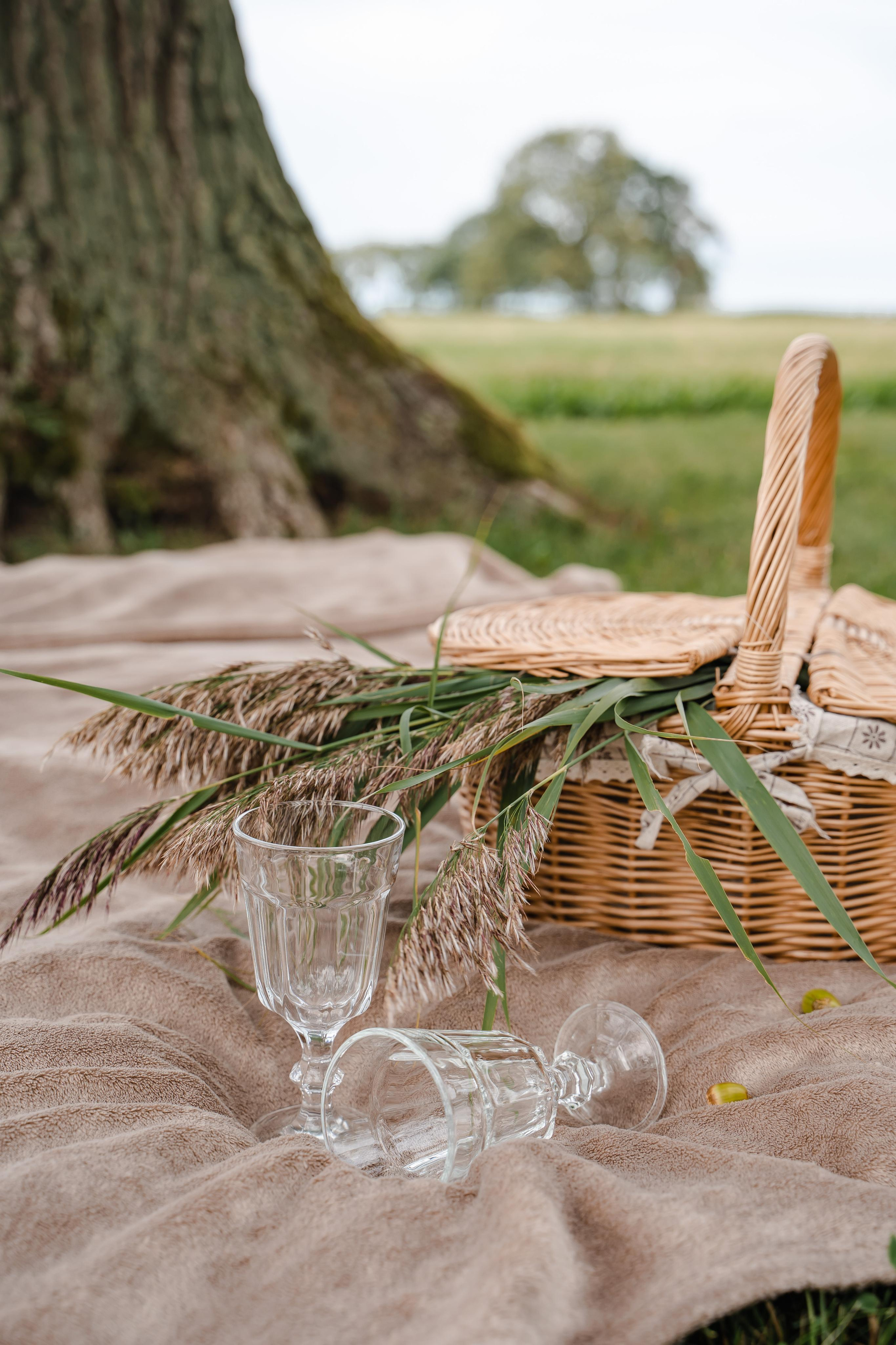 Семейные съемки, беременность. Фотограф и видеограф в Санкт-Петербурге и Москве Виктория Горячева