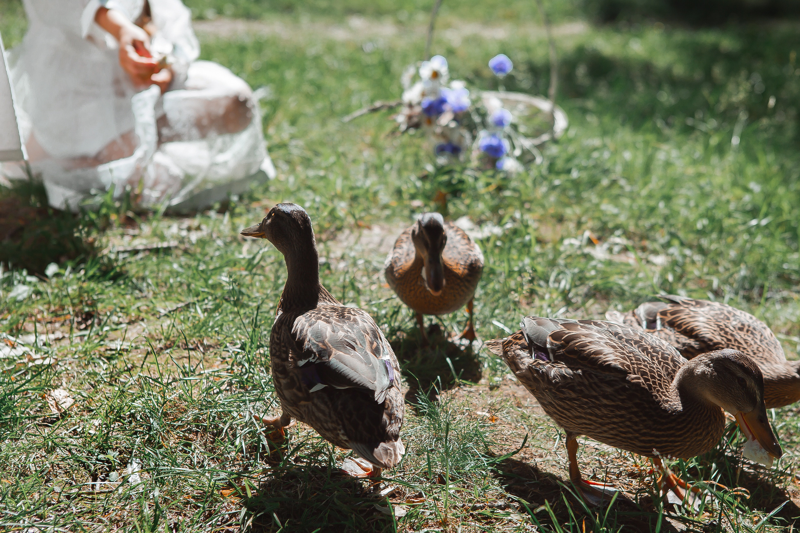 Семейные съемки, беременность. Фотограф и видеограф в Санкт-Петербурге и Москве Виктория Горячева