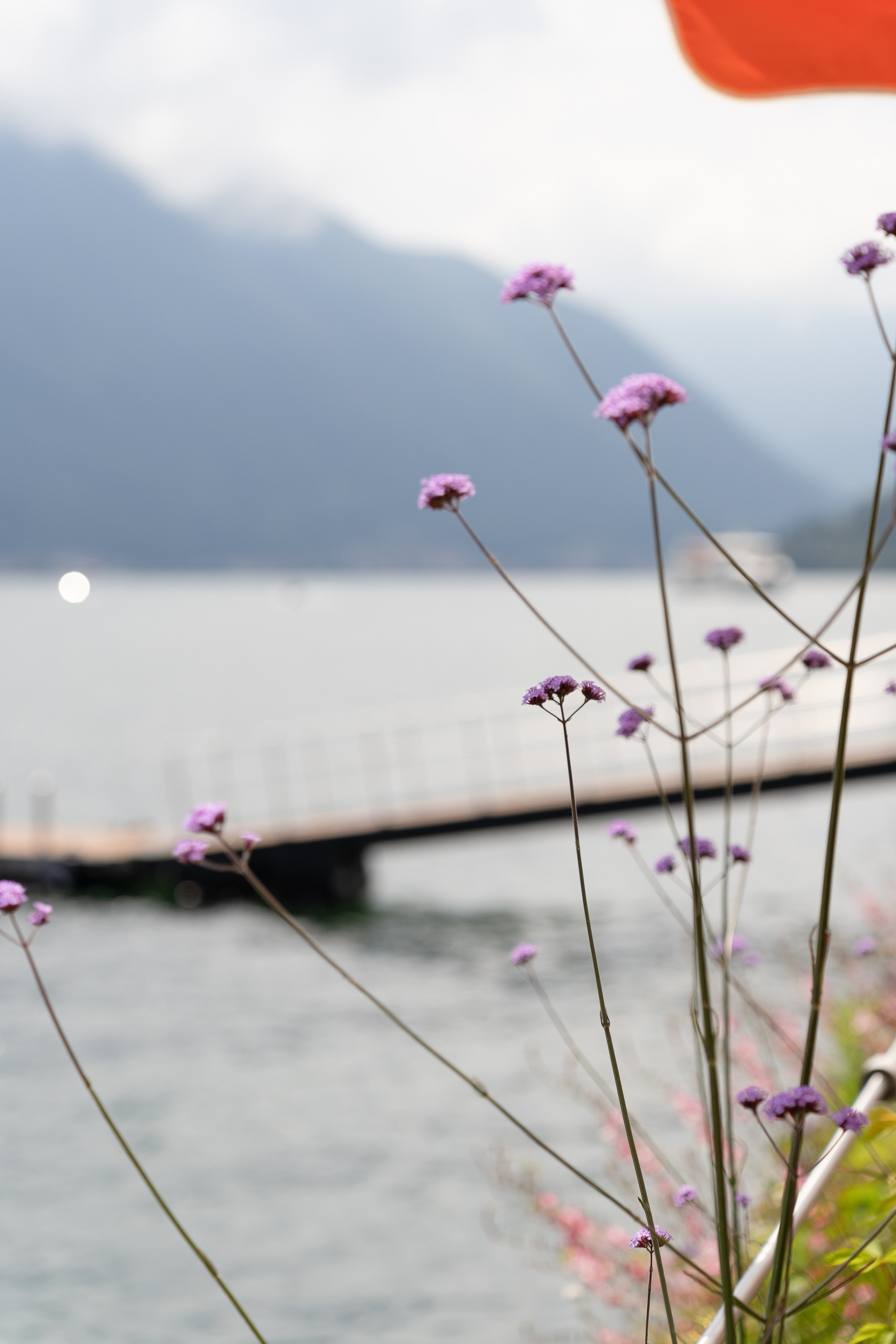 Tenille. Maria Anistratova | Destination Photographer, Videographer & Drone Pilot — Lake Como