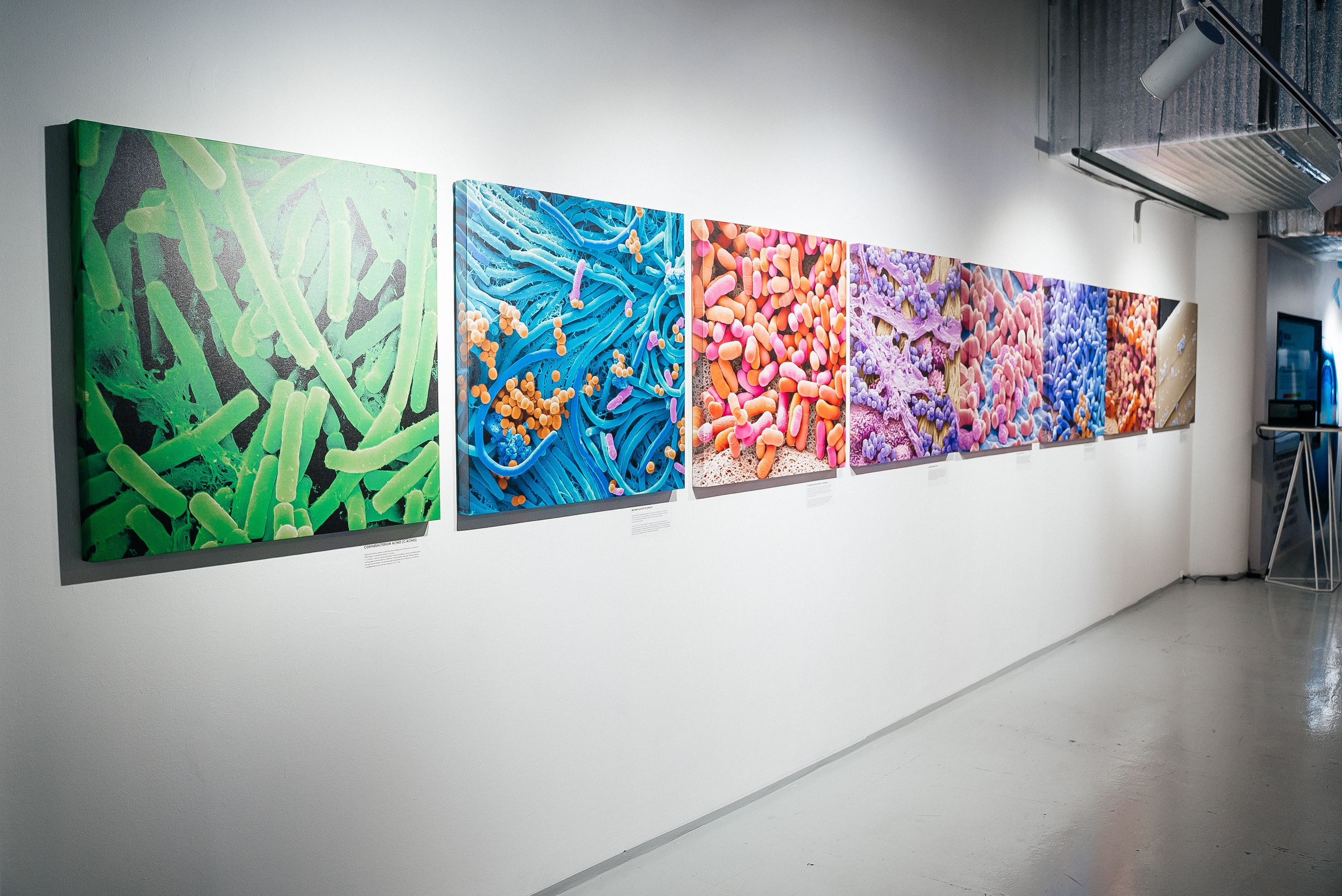 La Roche Posay. Павел Краснов — Свадебный и репортажный фотограф в Москве