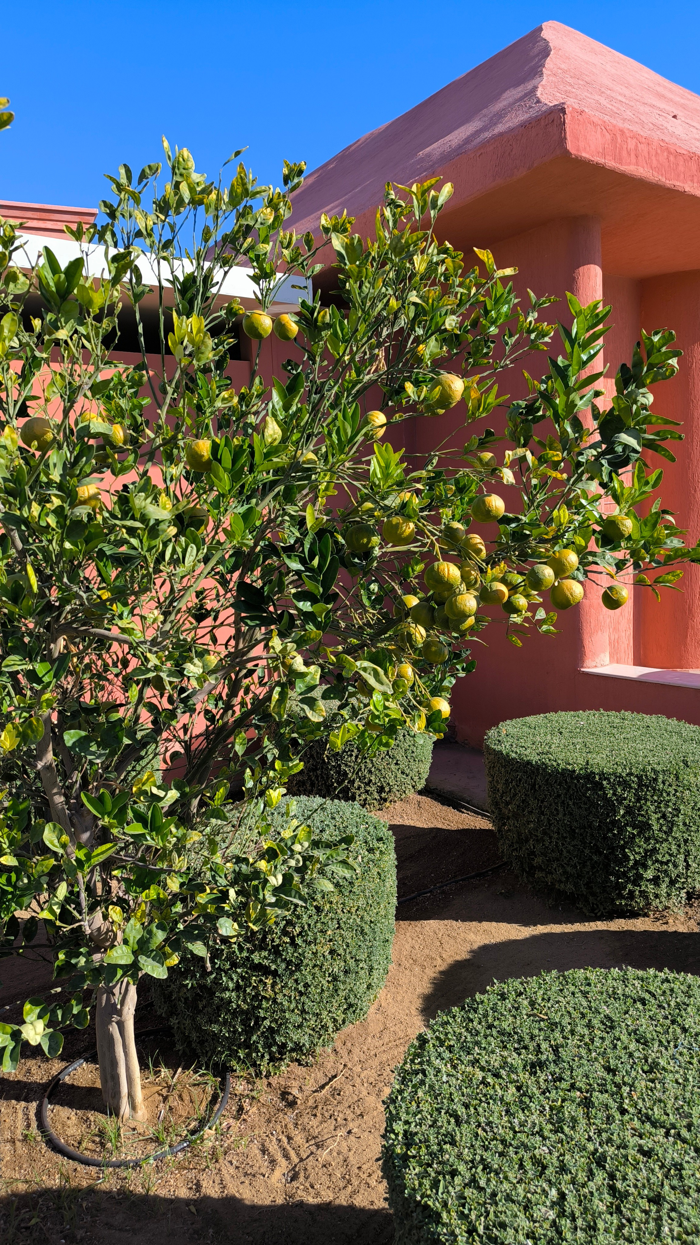 Шарм-Эль-Шейх. Светлана Иванова - профессиональный фотограф