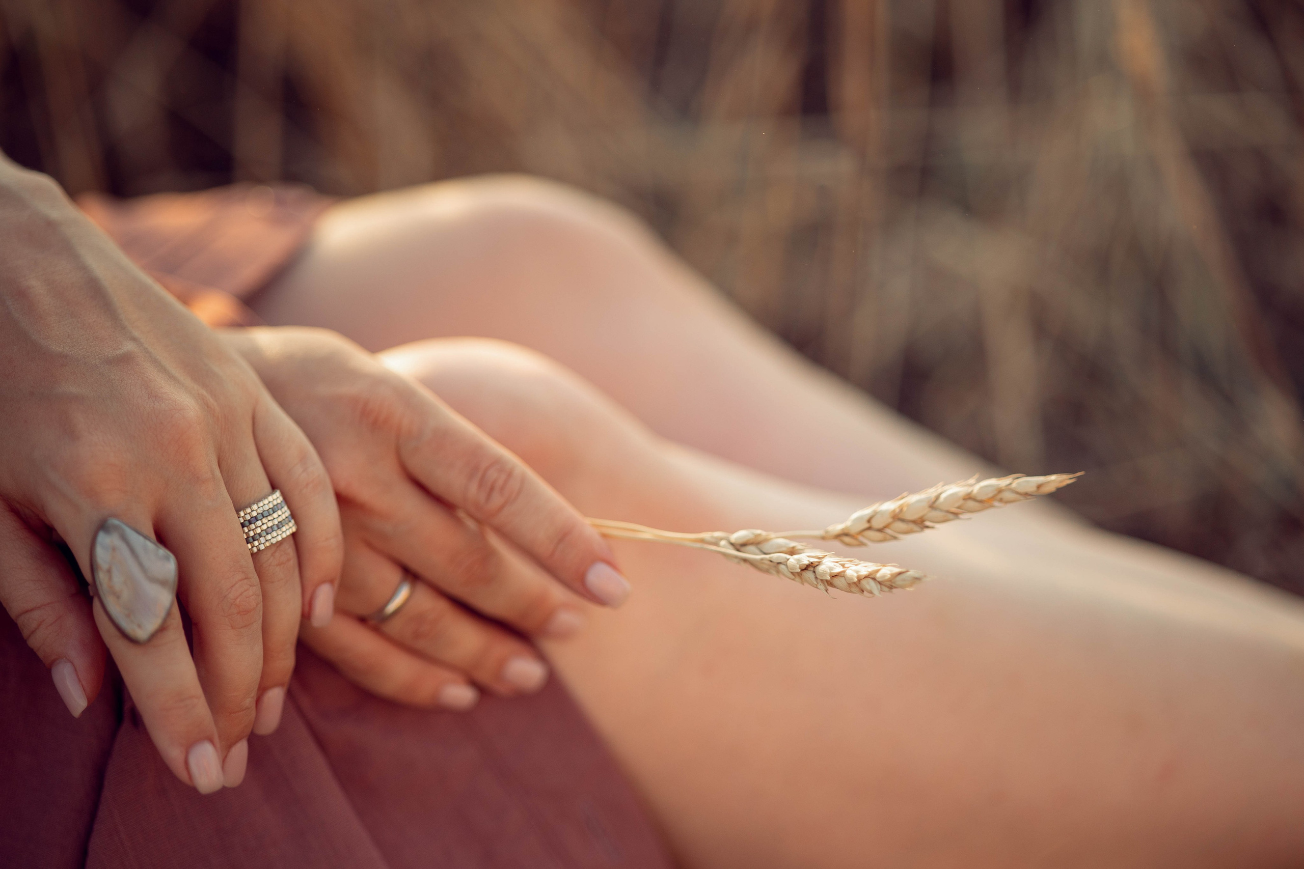 Пшеница. Главная