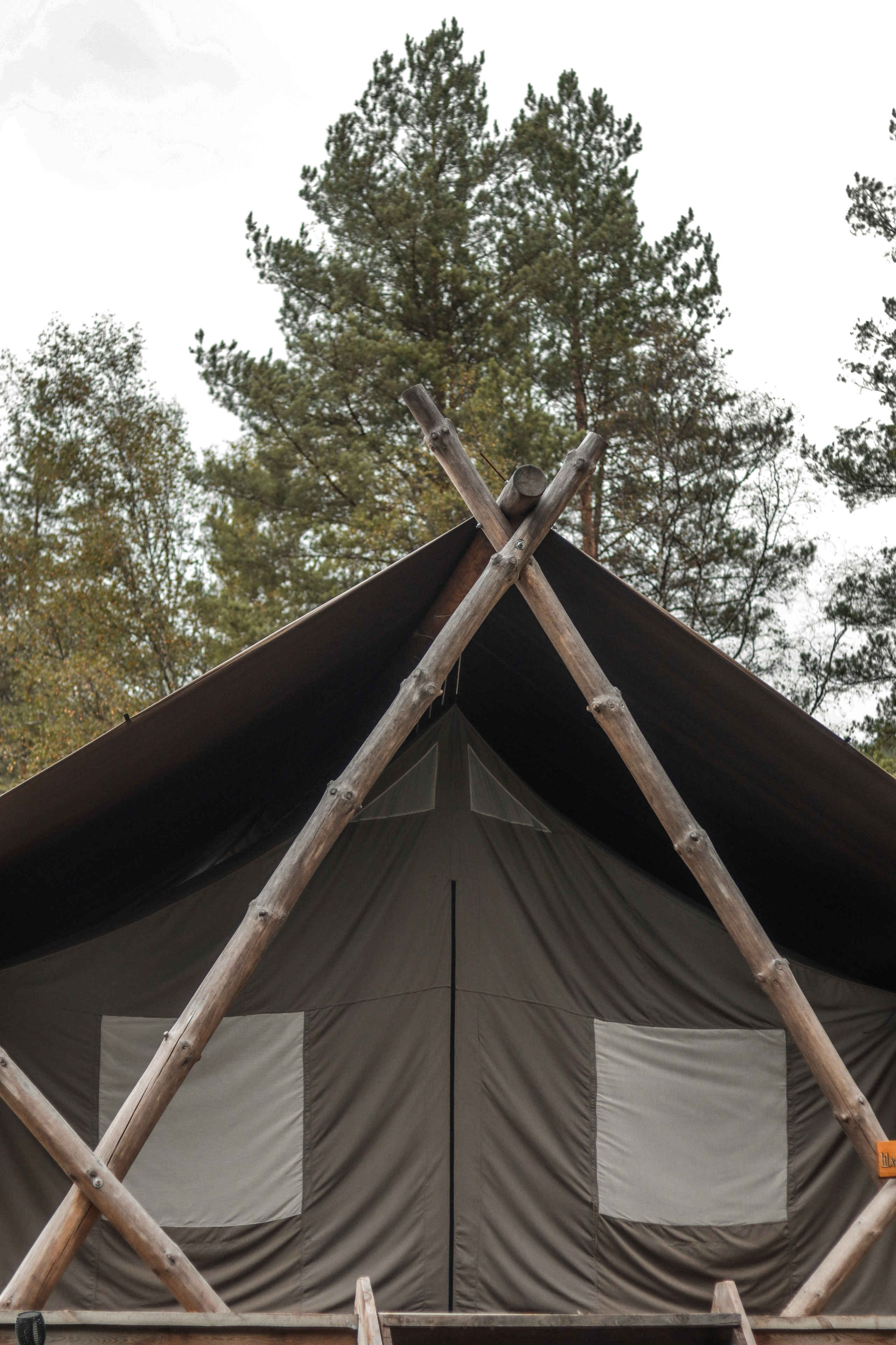 «Сад пионов» эко-отель, респ. Алтай. Контент фотограф Дмитрий Борисов
