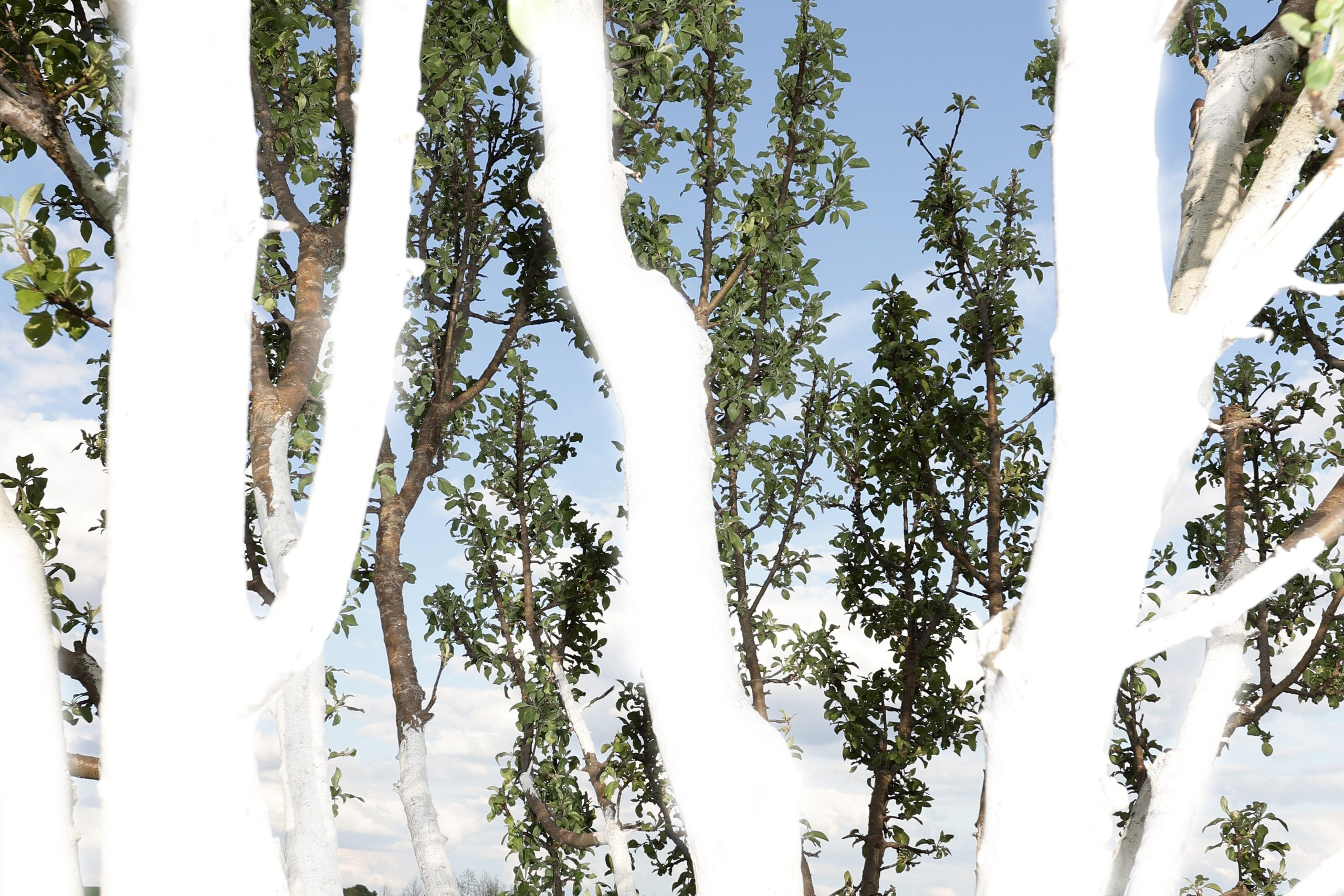 ART и Mixed media. Семейный LIFESTYLE фотограф в Москве