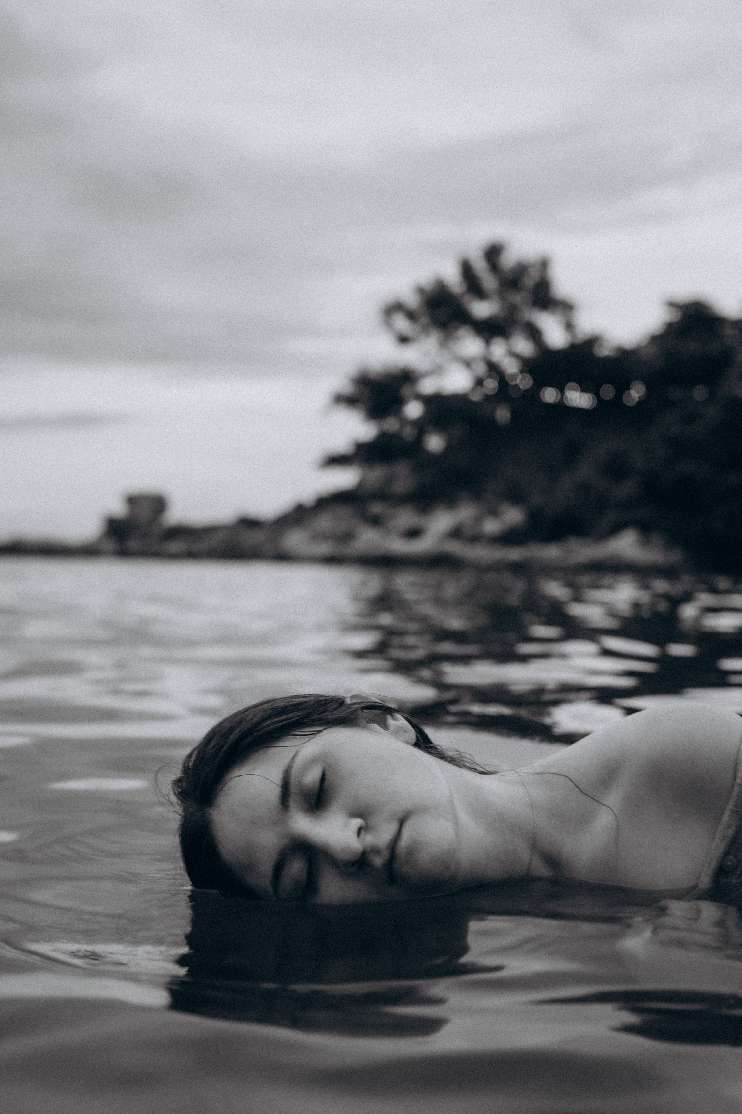 Лилия «сад камней» Вьетнам. Главная