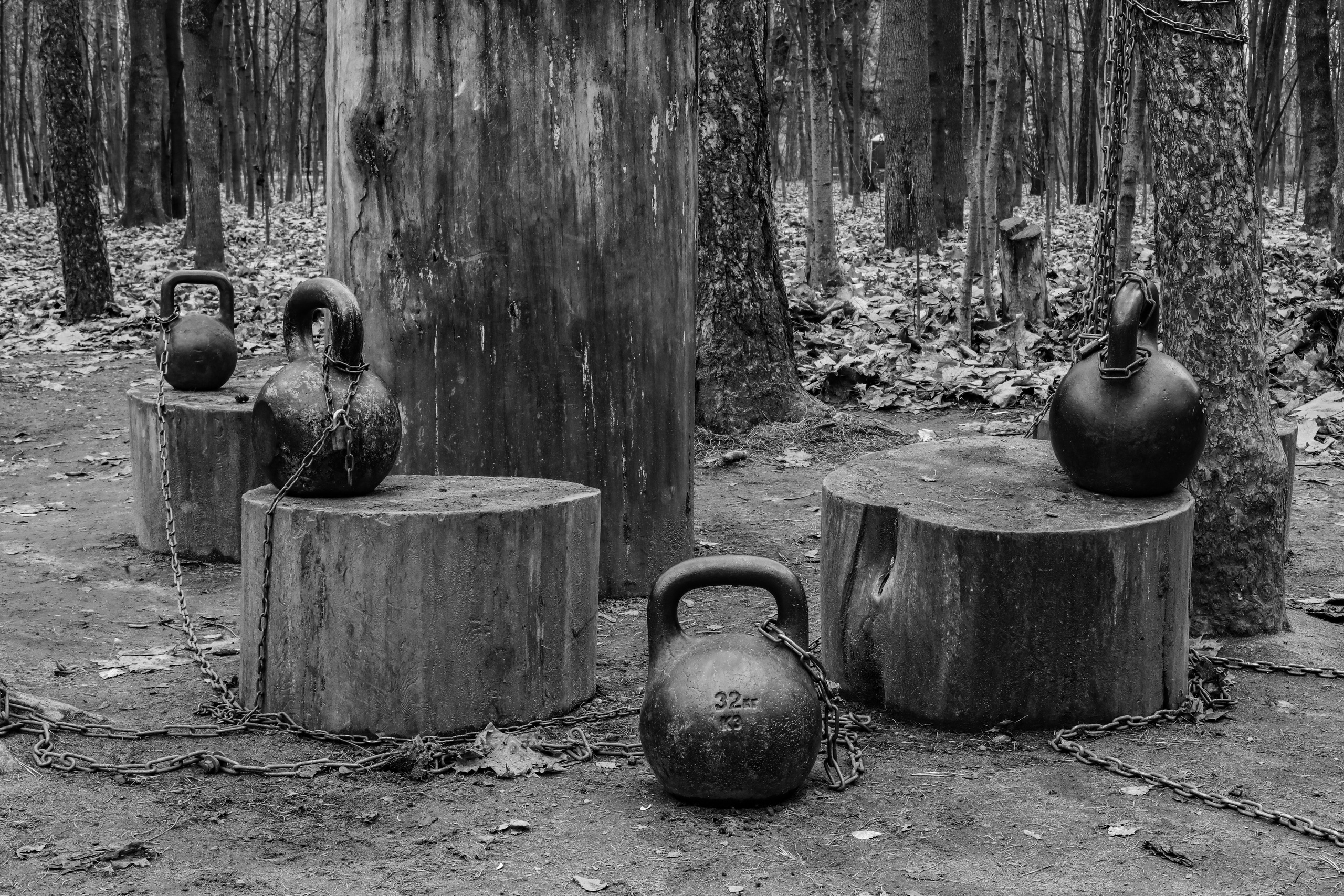 Качалка в лесу — 2022. Стас Привалов