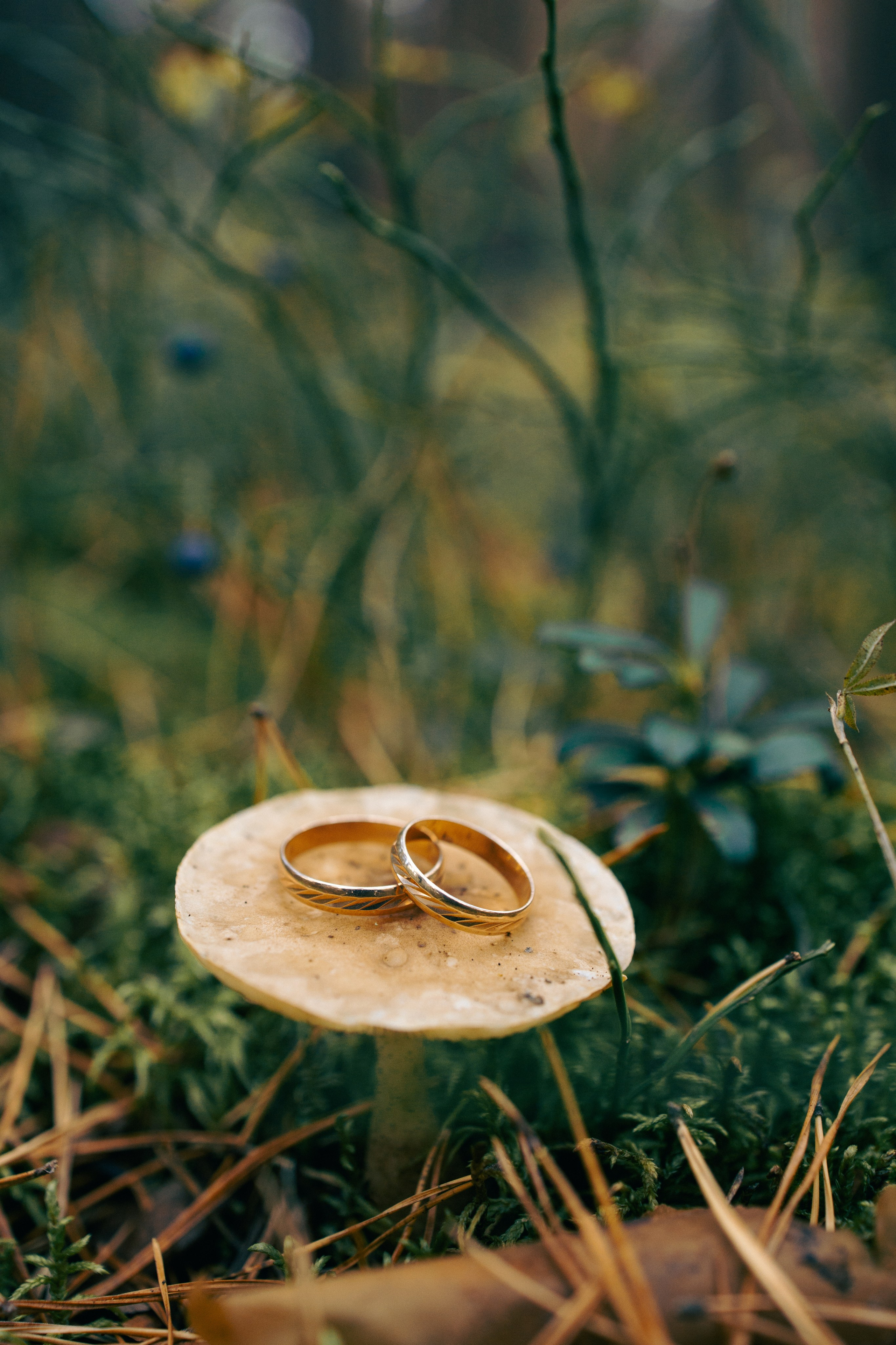 Ксения и Илья. Екатерина Пашкова, фотограф, видеограф в Томске