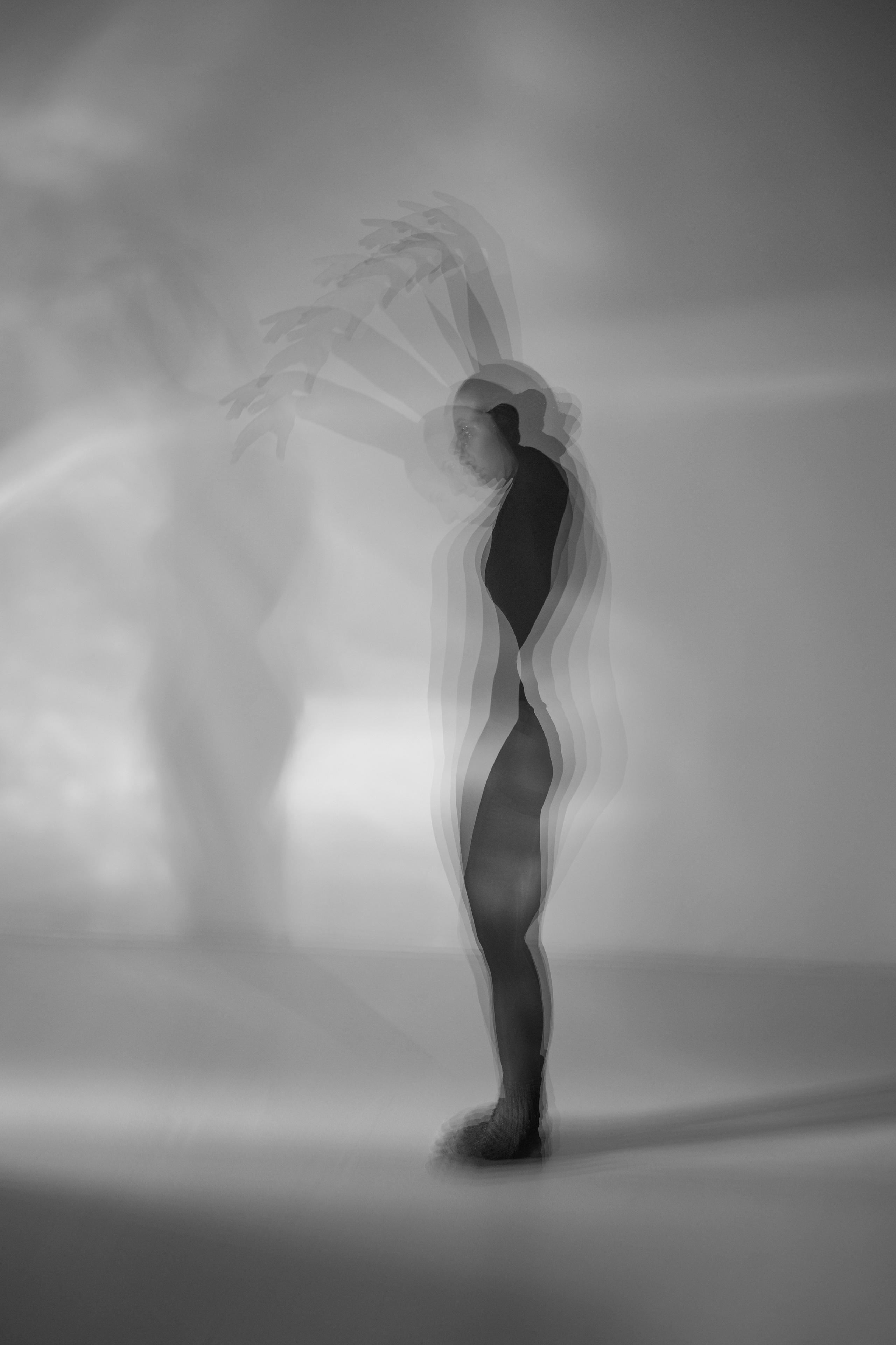 Лилия. Художественная фотография