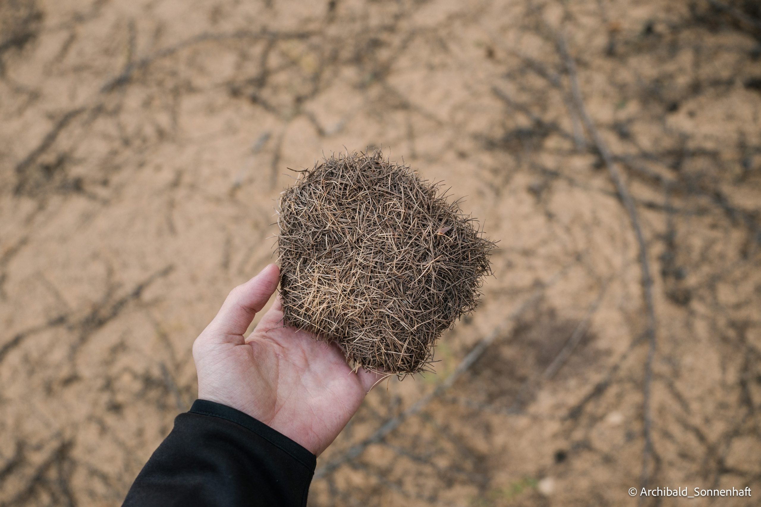 Inner mongolia. Photographer in Guangzhou, China. Archibald Sonnenhaft