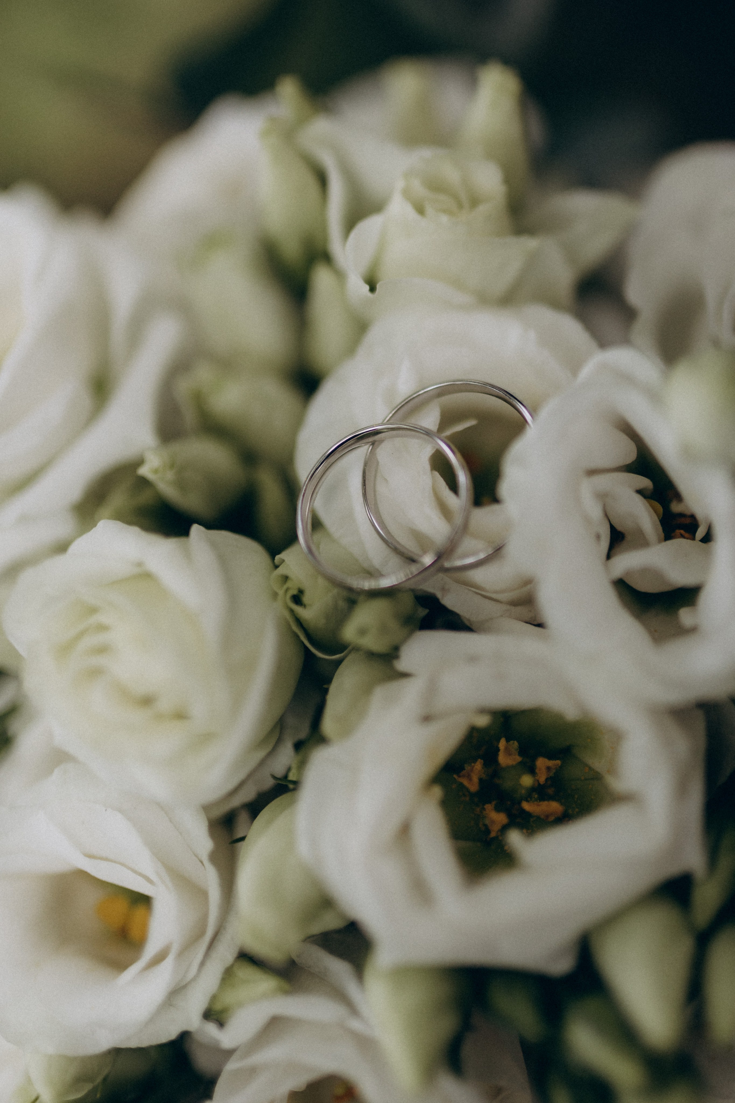 Юлия & Андрей. Фотограф НОГИНСК, Москва, Анастасия Белая