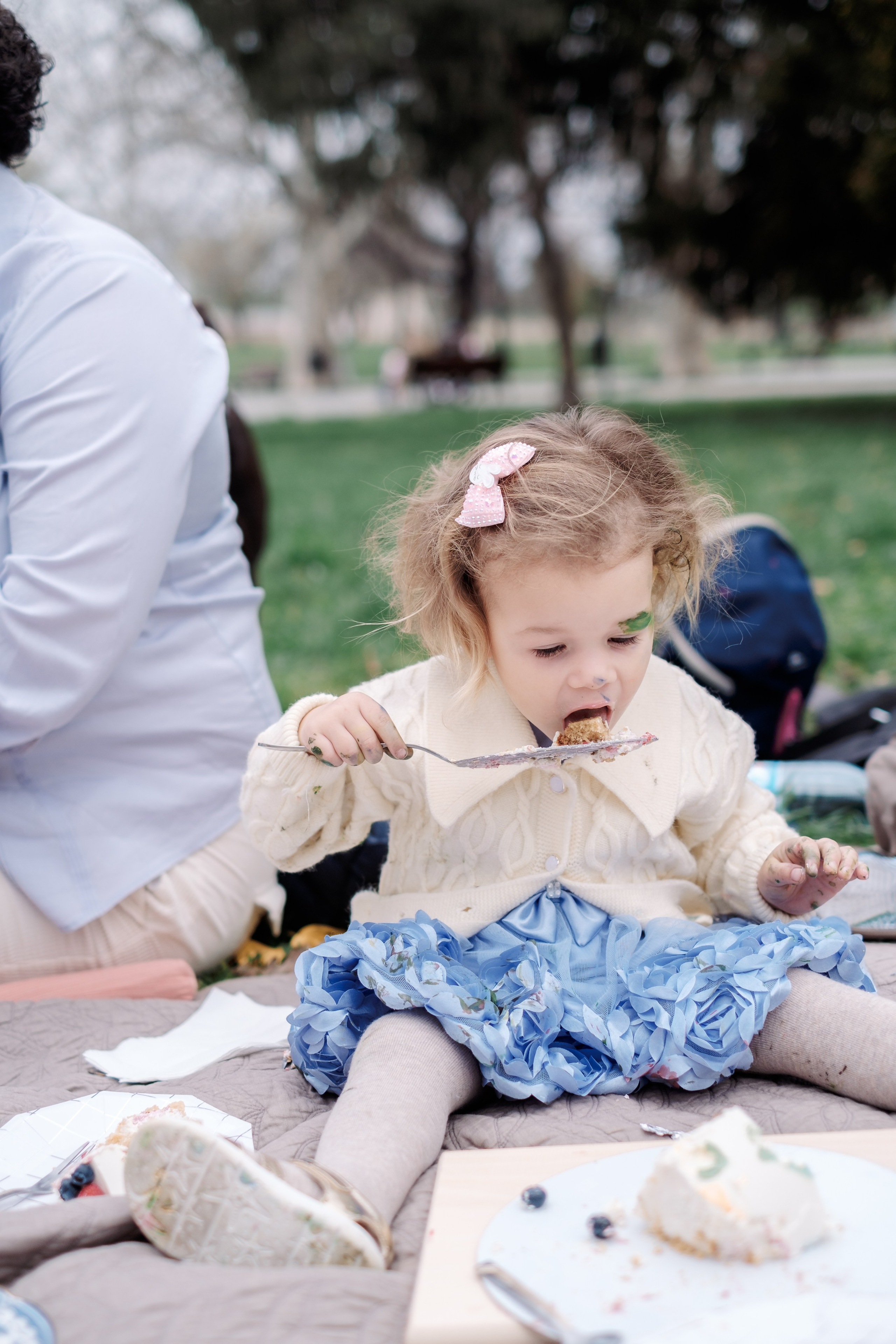 Пикник у Калемегдана. Фотограф в Белграде