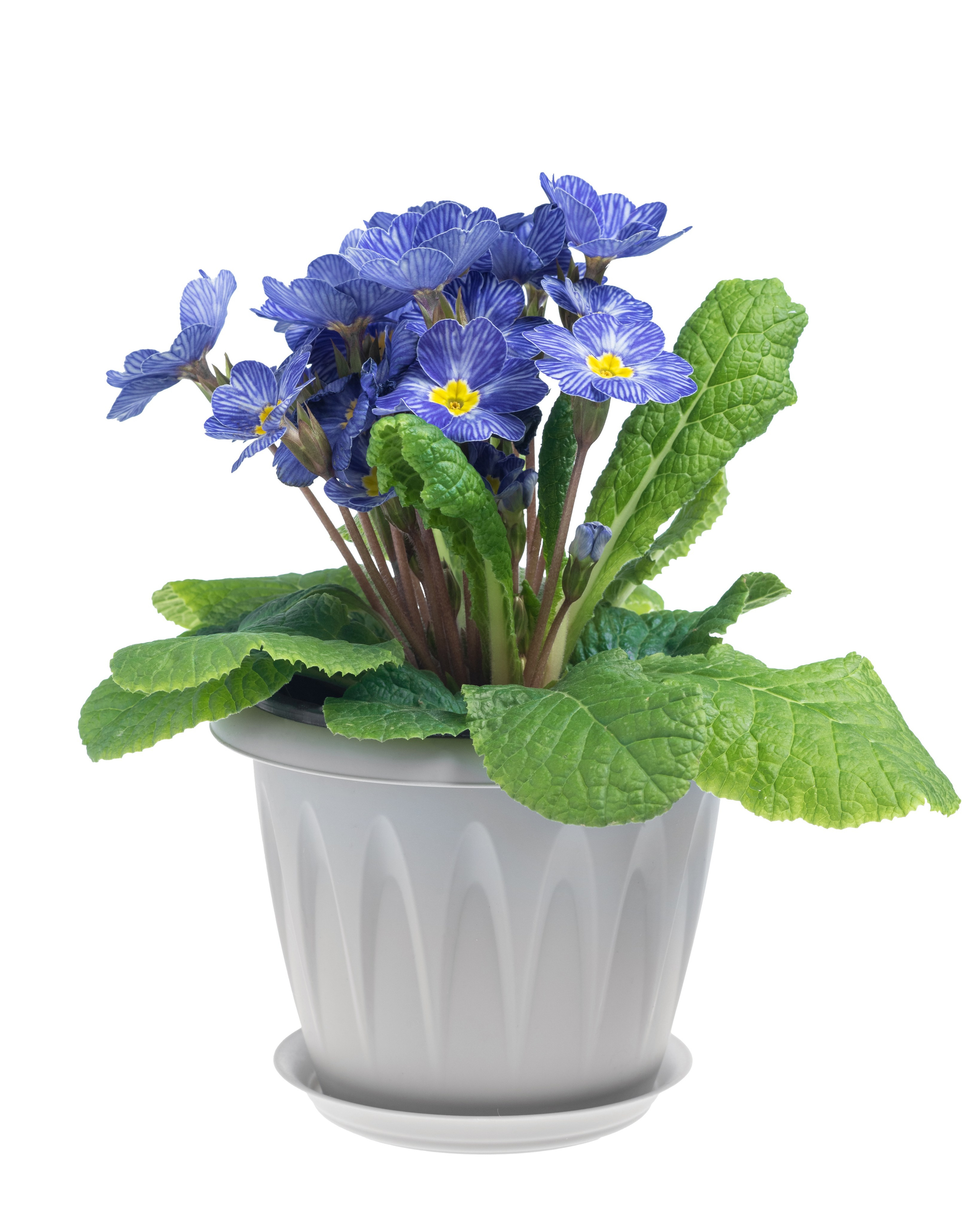 Изоляты. Фотограф в Москве Дмитровская Дарья